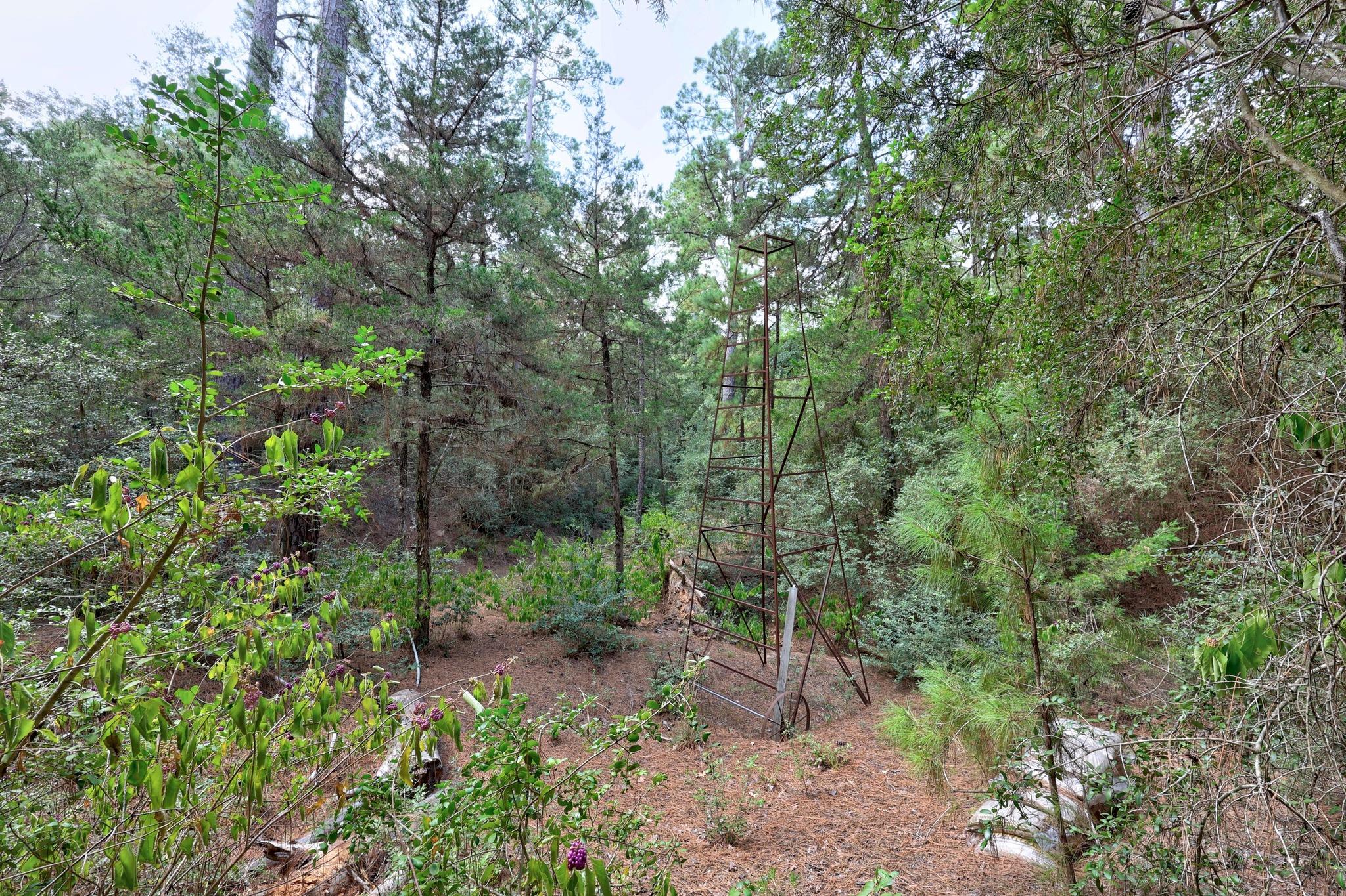 128 Barras Rd, Paige, TX 78659