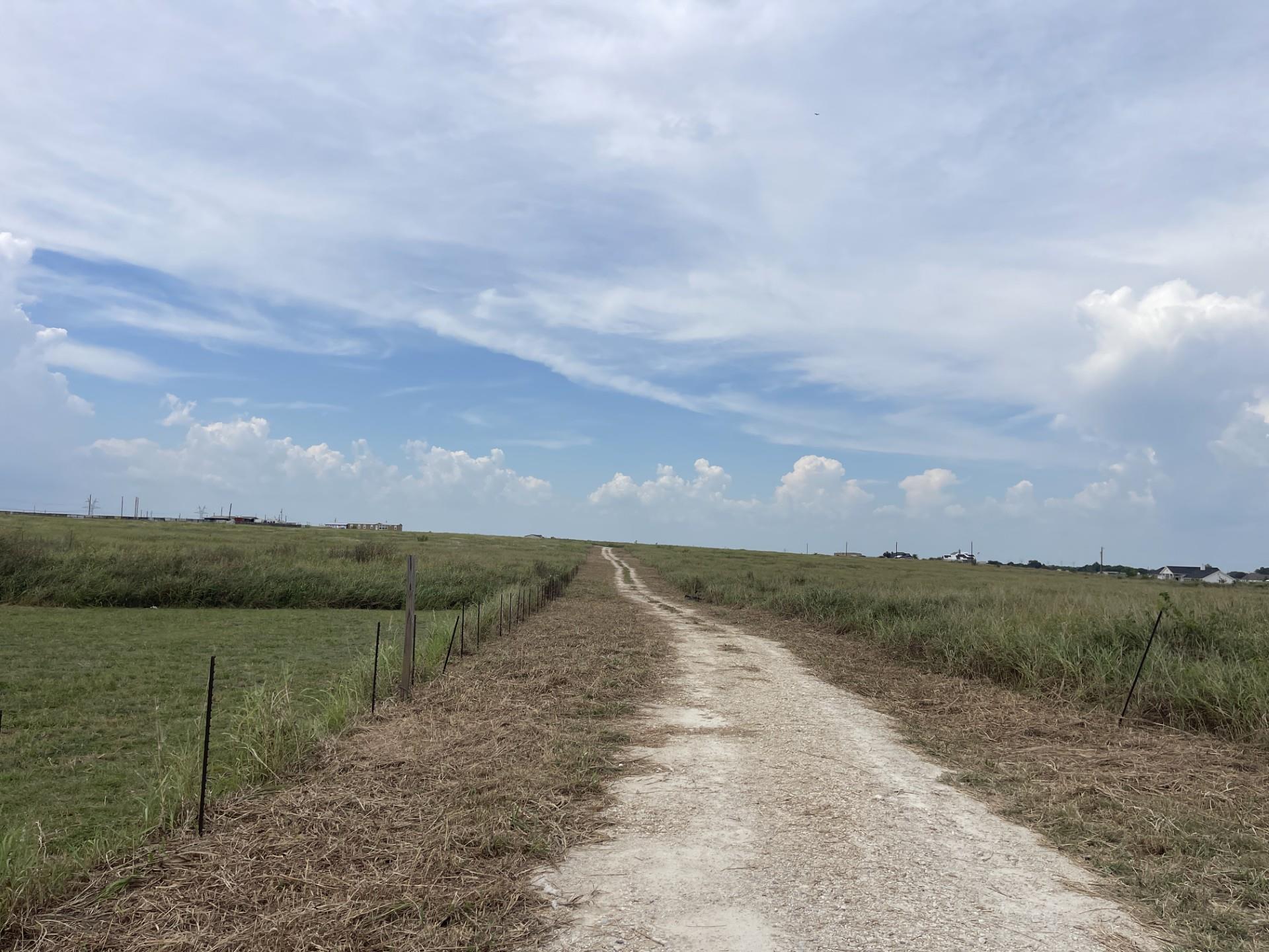 115 Dargahi Pl, Granger, TX 76530