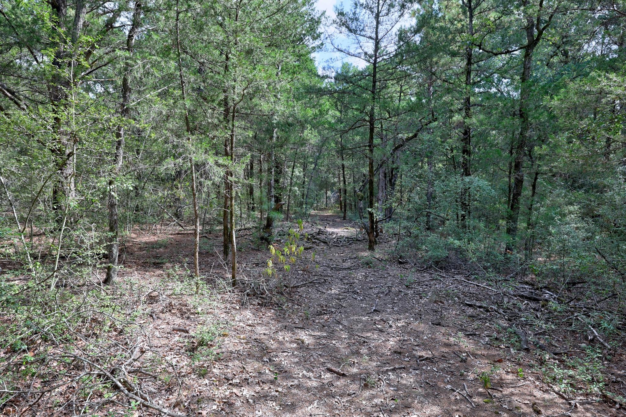 128 Barras Rd, Paige, TX 78659