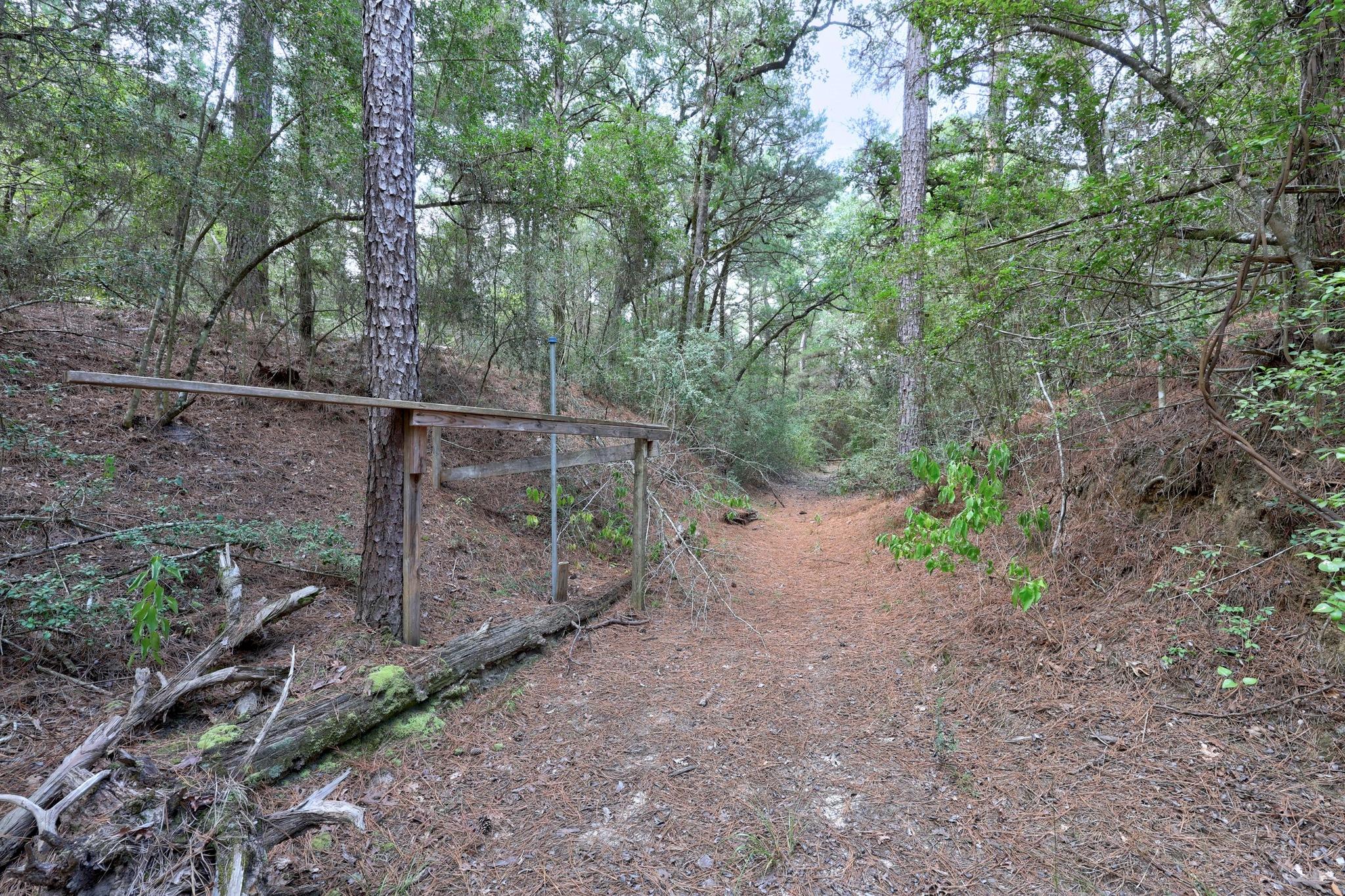 128 Barras Rd, Paige, TX 78659