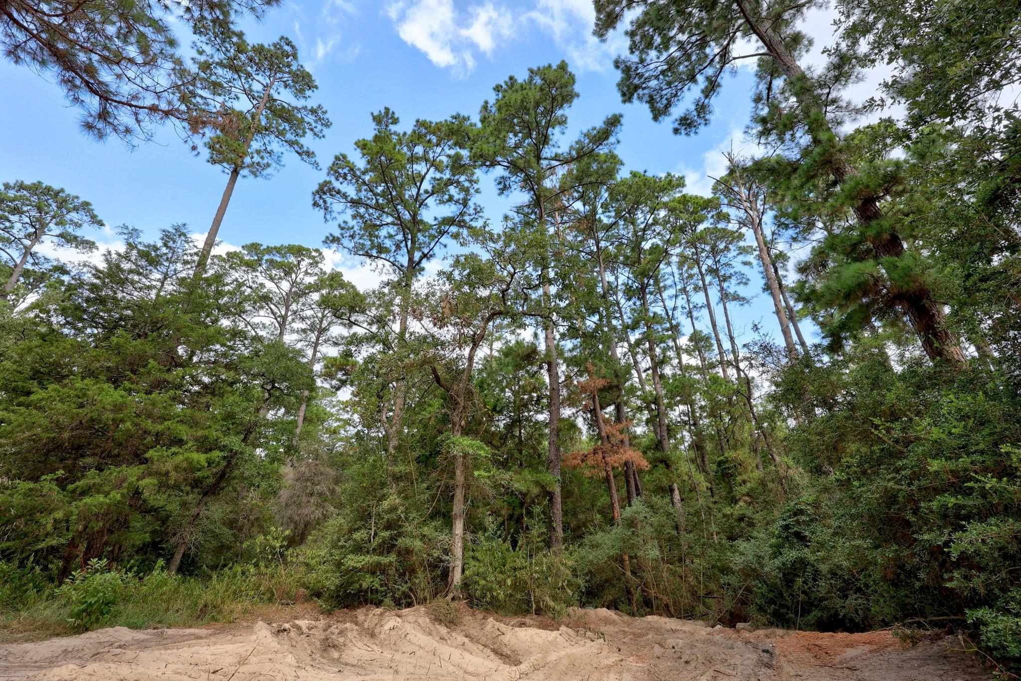 128 Barras Rd, Paige, TX 78659