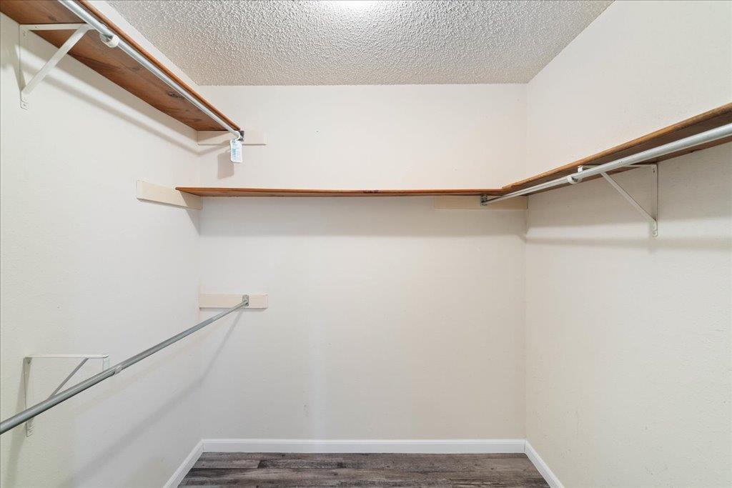 1000 Abbey Rd, Round Rock, TX 78681