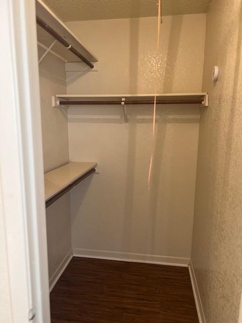 310 Tamara Dr # A, Georgetown, TX 78628