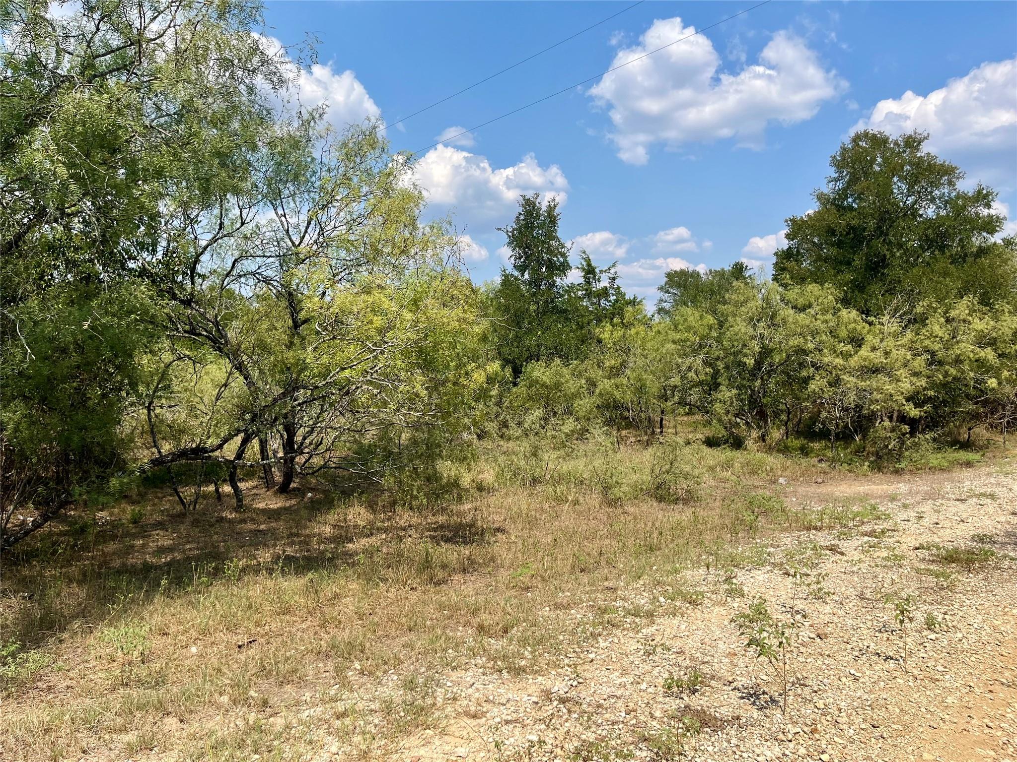 312 Blue Flame Rd, Cedar Creek, TX 78612