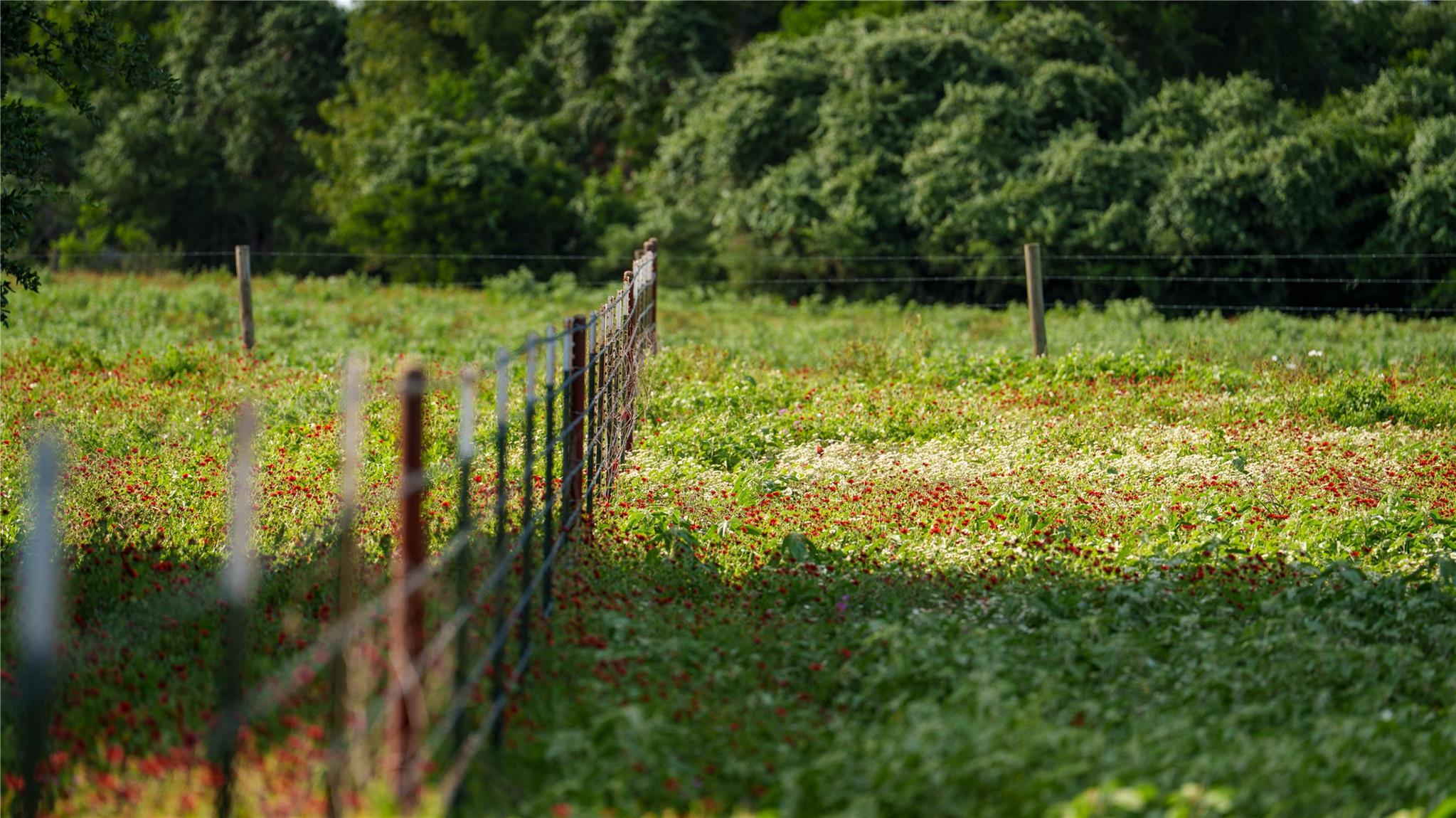 TBD FM 2104, Smithville, TX 78957