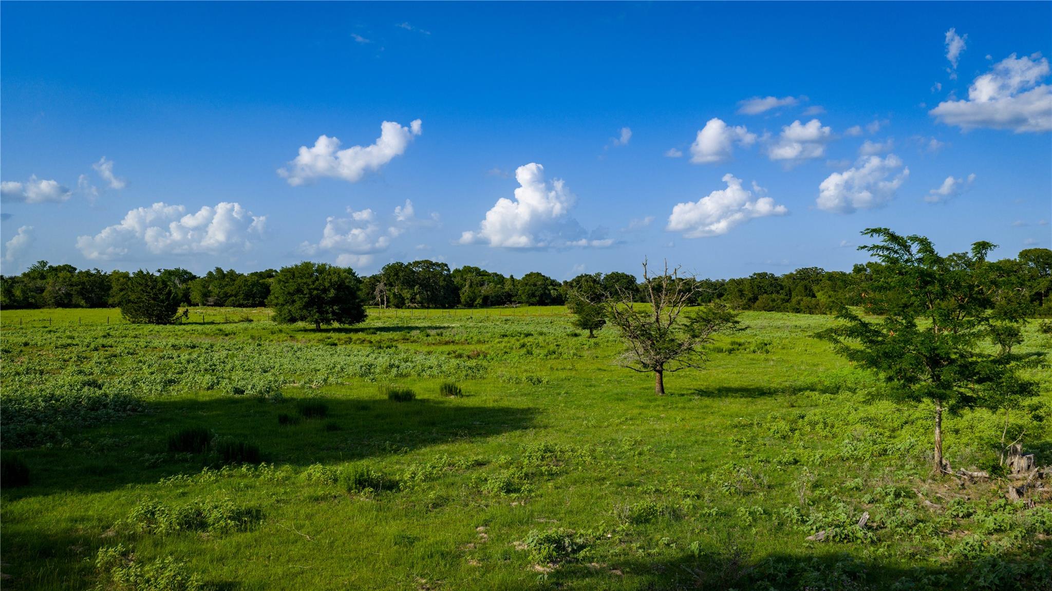 TBD FM 2104, Smithville, TX 78957