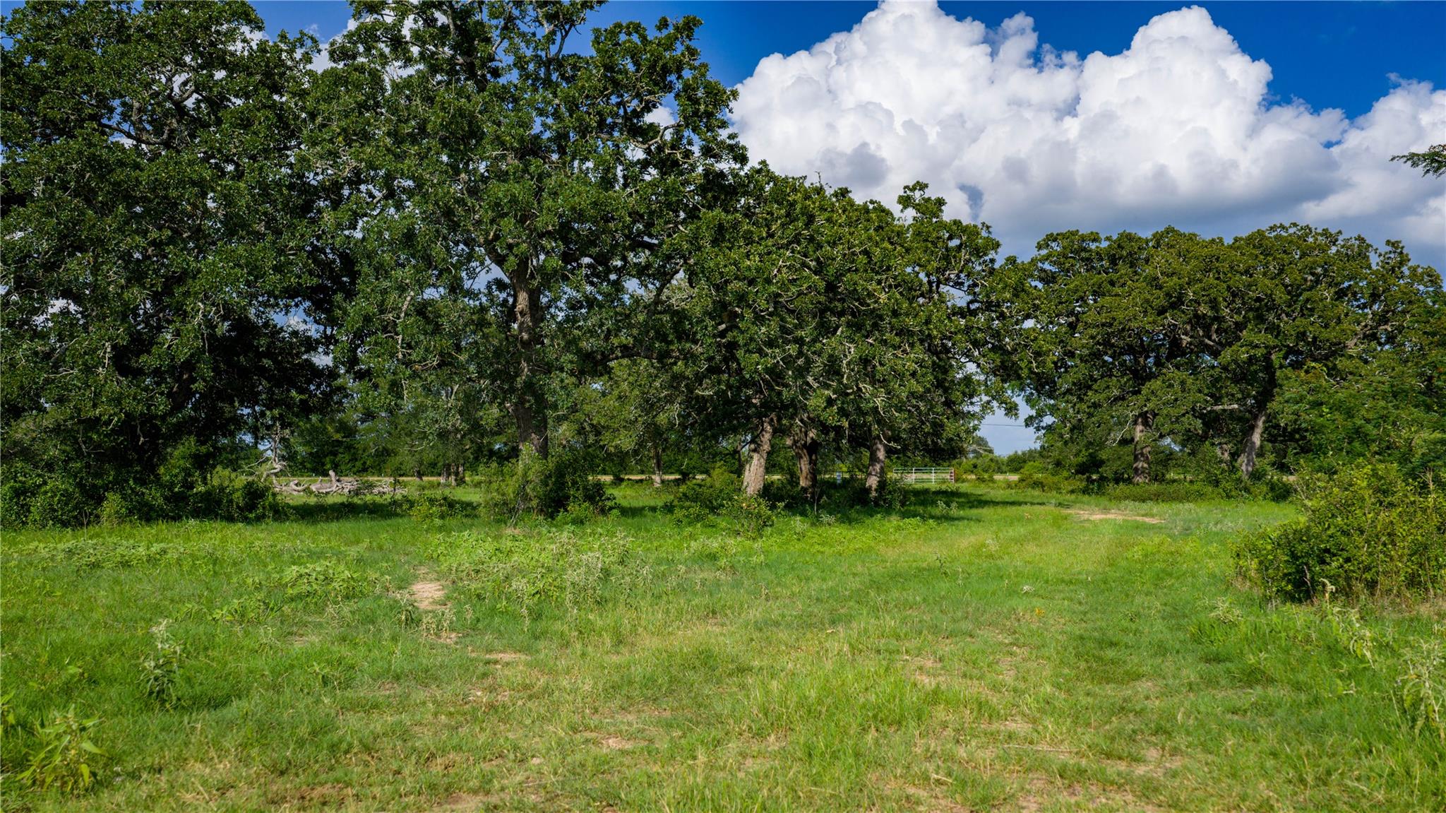 TBD FM 2104, Smithville, TX 78957