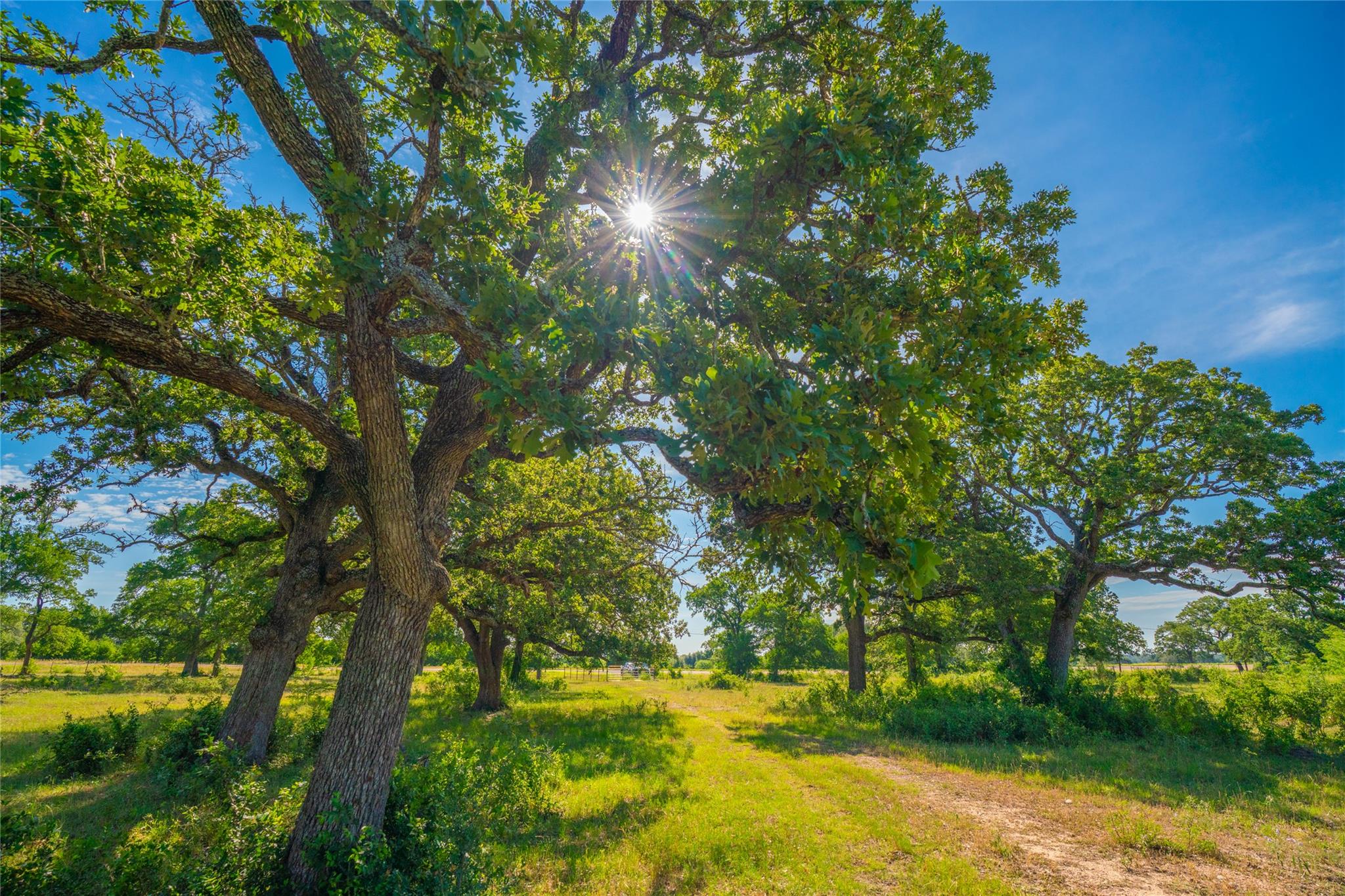 TBD FM 2104, Smithville, TX 78957