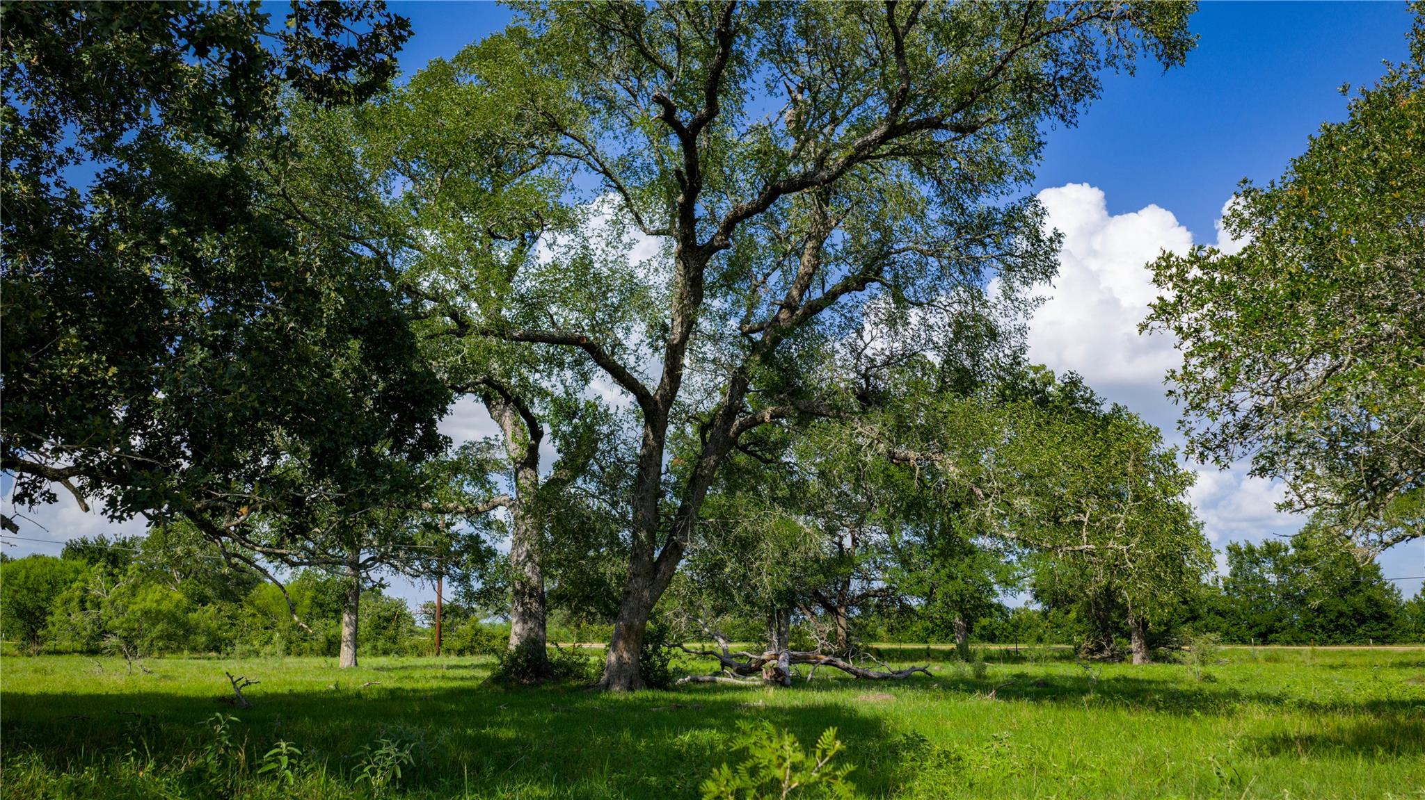 TBD FM 2104, Smithville, TX 78957