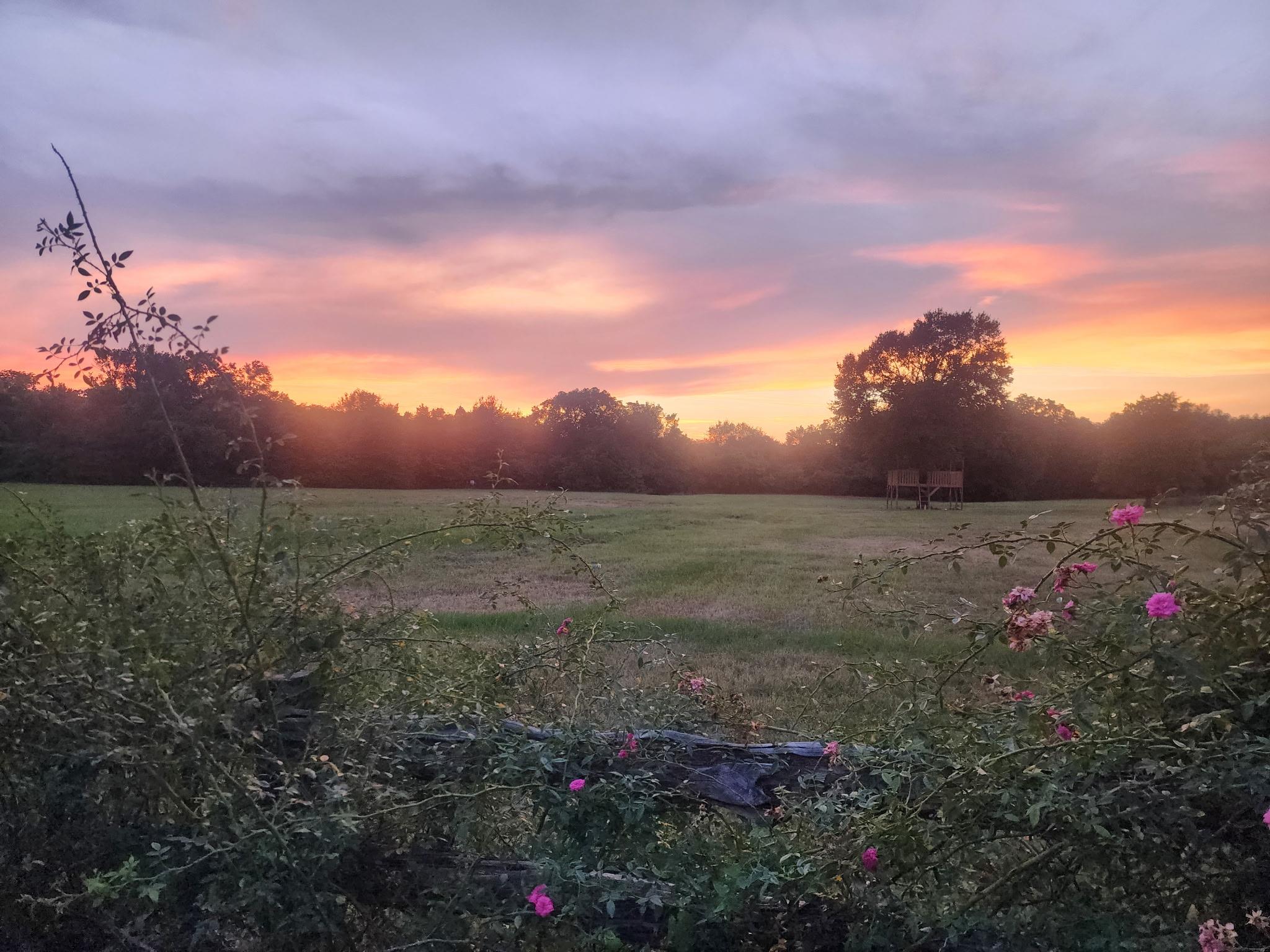 6881 FM 2000, Caldwell, TX 77836