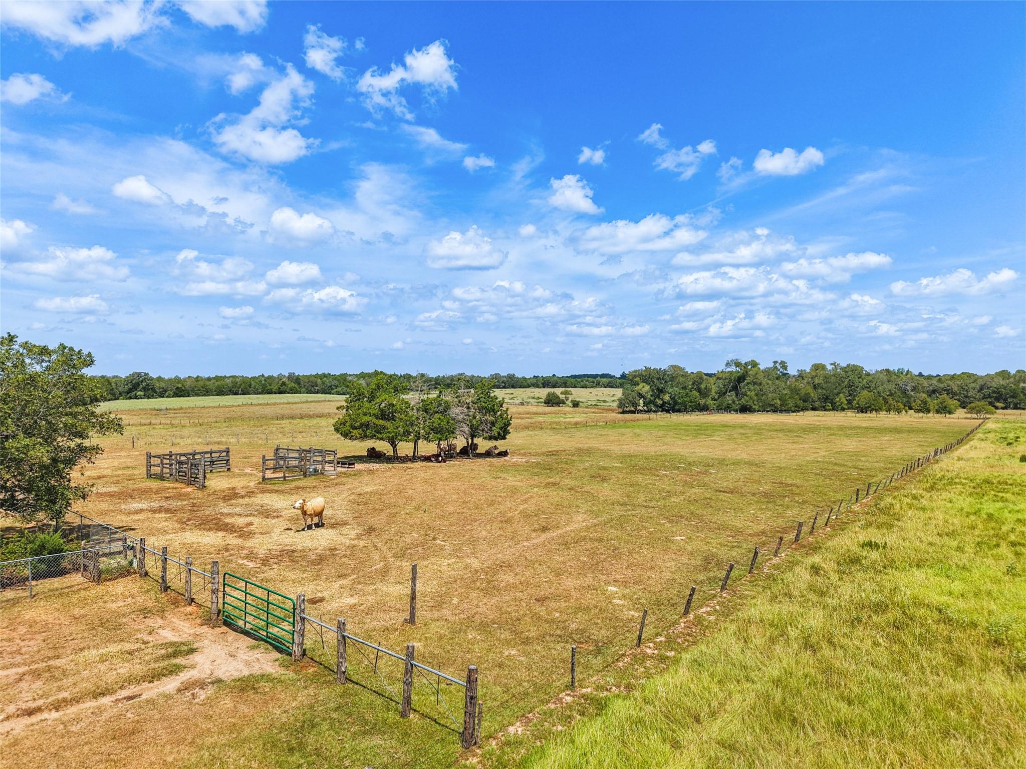 372 Hofferek Rd, Rosanky, TX 78953