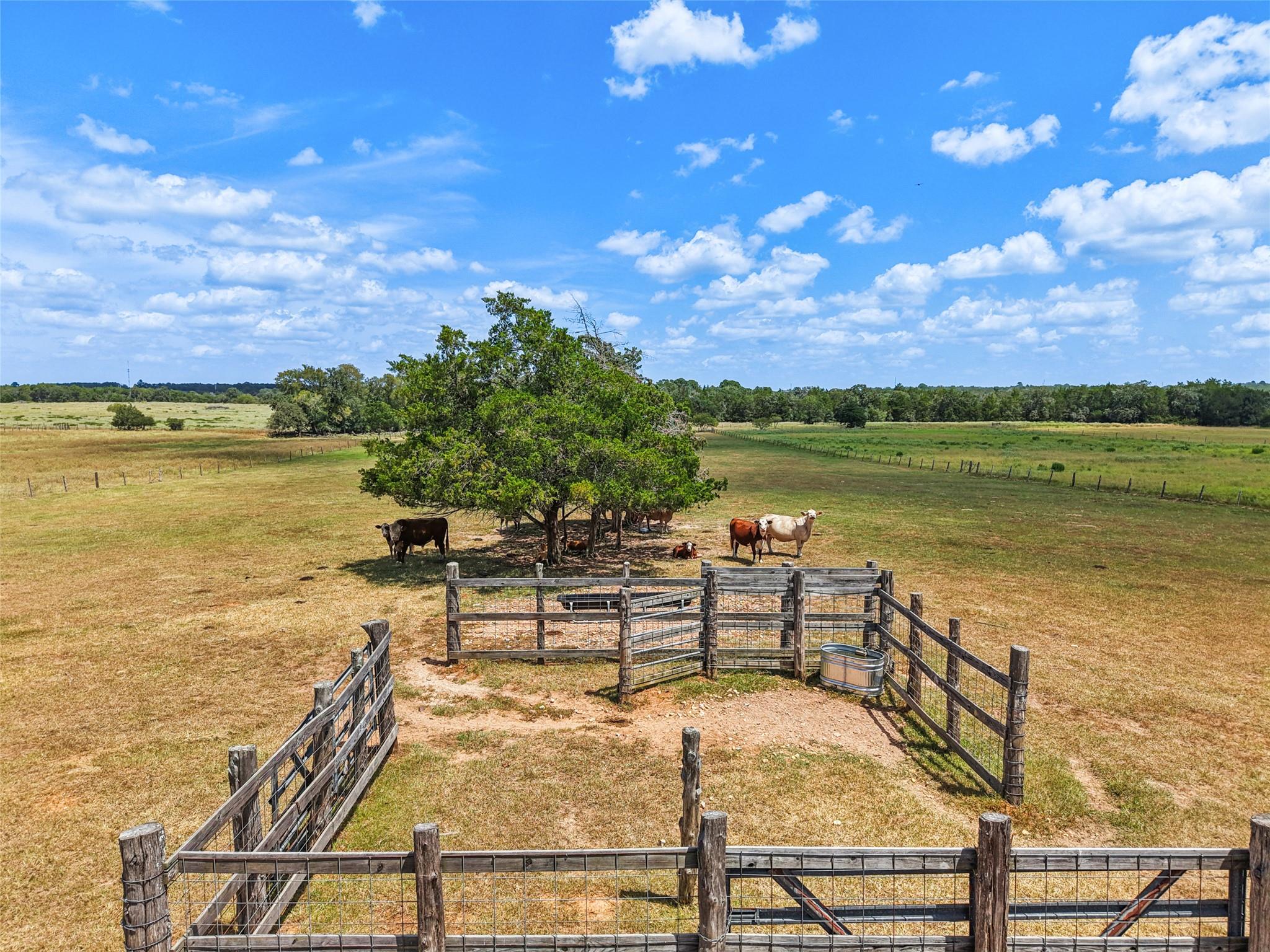 372 Hofferek Rd, Rosanky, TX 78953