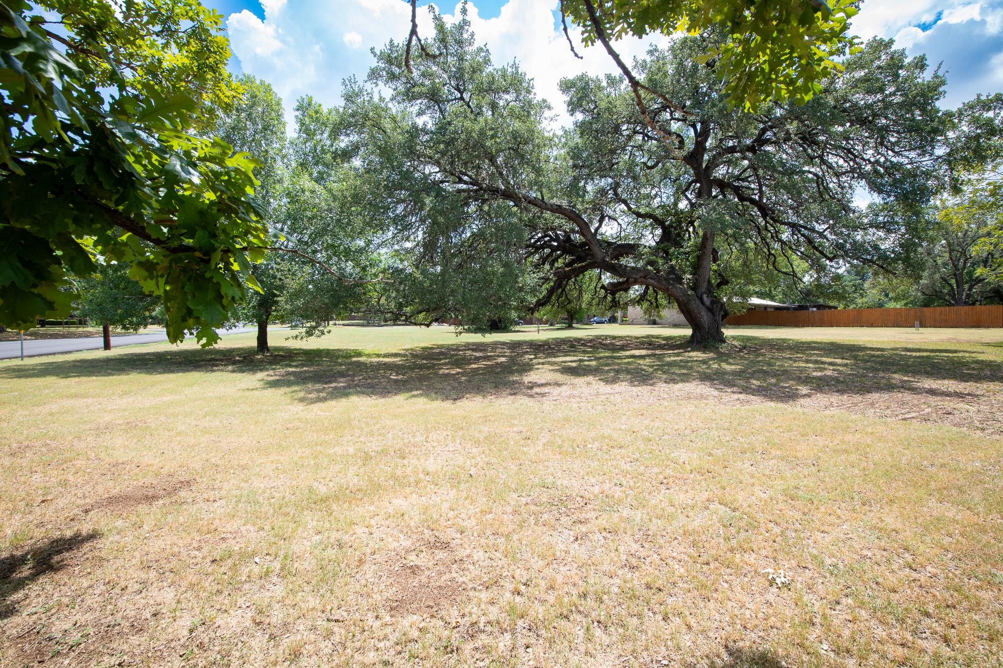 200 Canyon Wren Dr, Buda, TX 78610