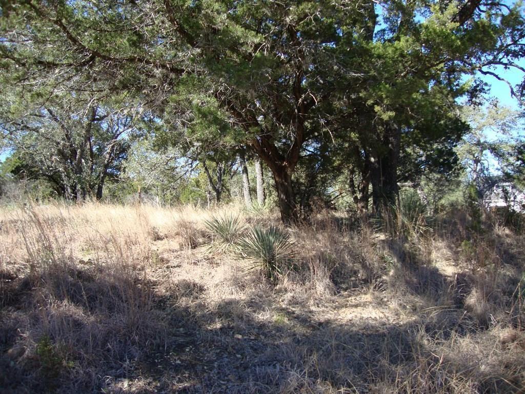 3705 1/2 N Peninsular Dr, Marble Falls, TX 78654