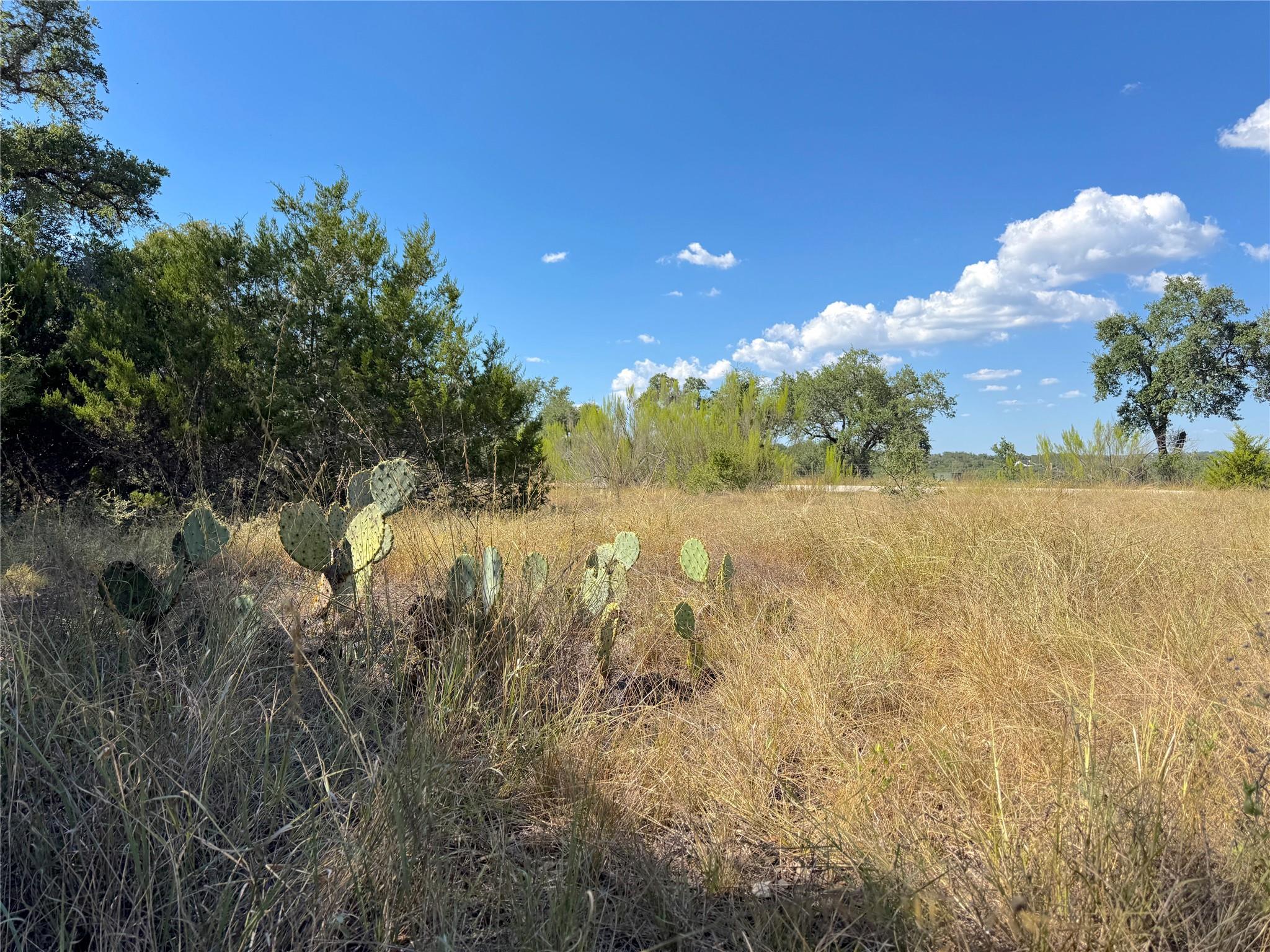 2124 Francisco Pass, Canyon Lake, TX 78133