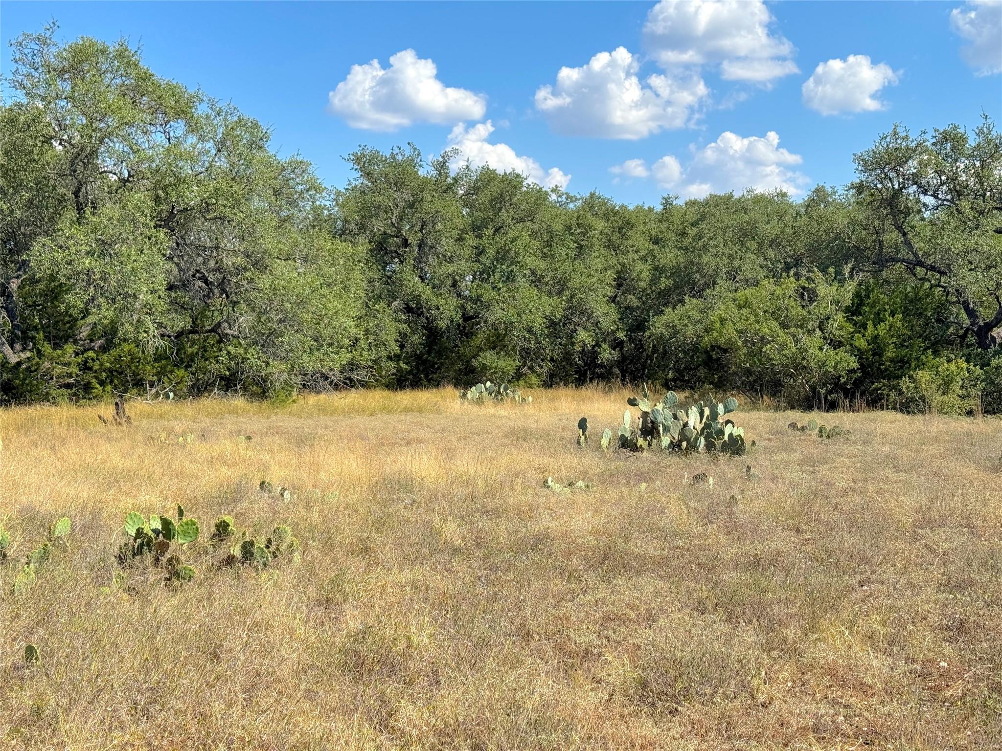 2124 Francisco Pass, Canyon Lake, TX 78133