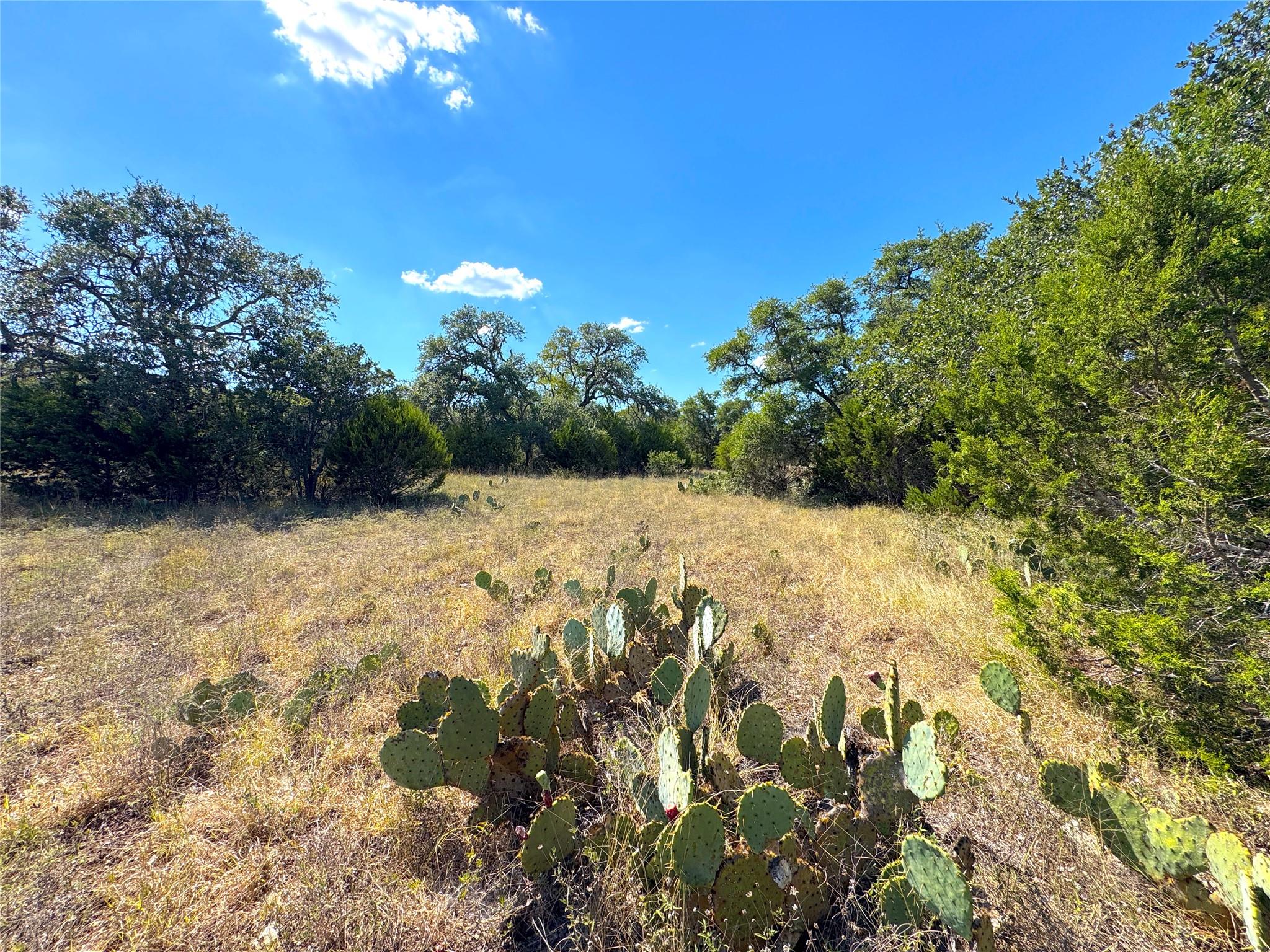 2124 Francisco Pass, Canyon Lake, TX 78133
