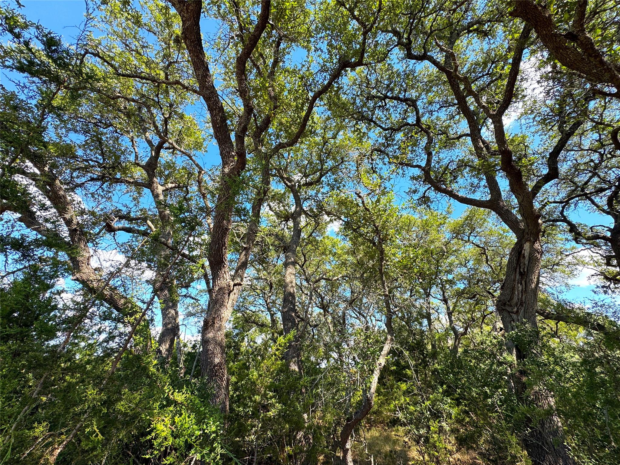 2124 Francisco Pass, Canyon Lake, TX 78133