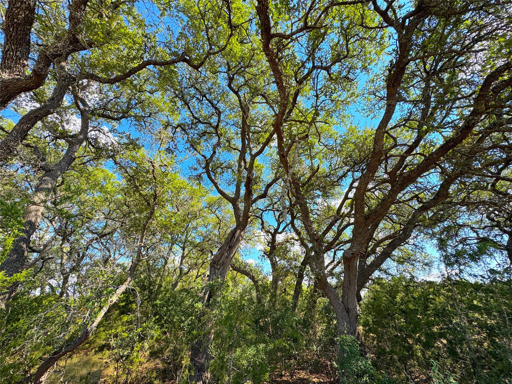 2124 Francisco Pass, Canyon Lake, TX 78133