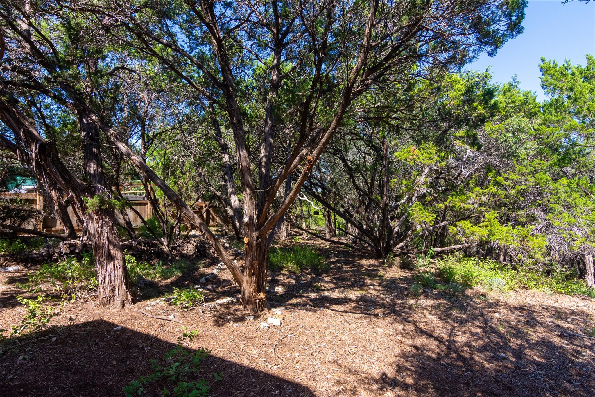 6004 Cimmaron Trl, Lago Vista, TX 78645