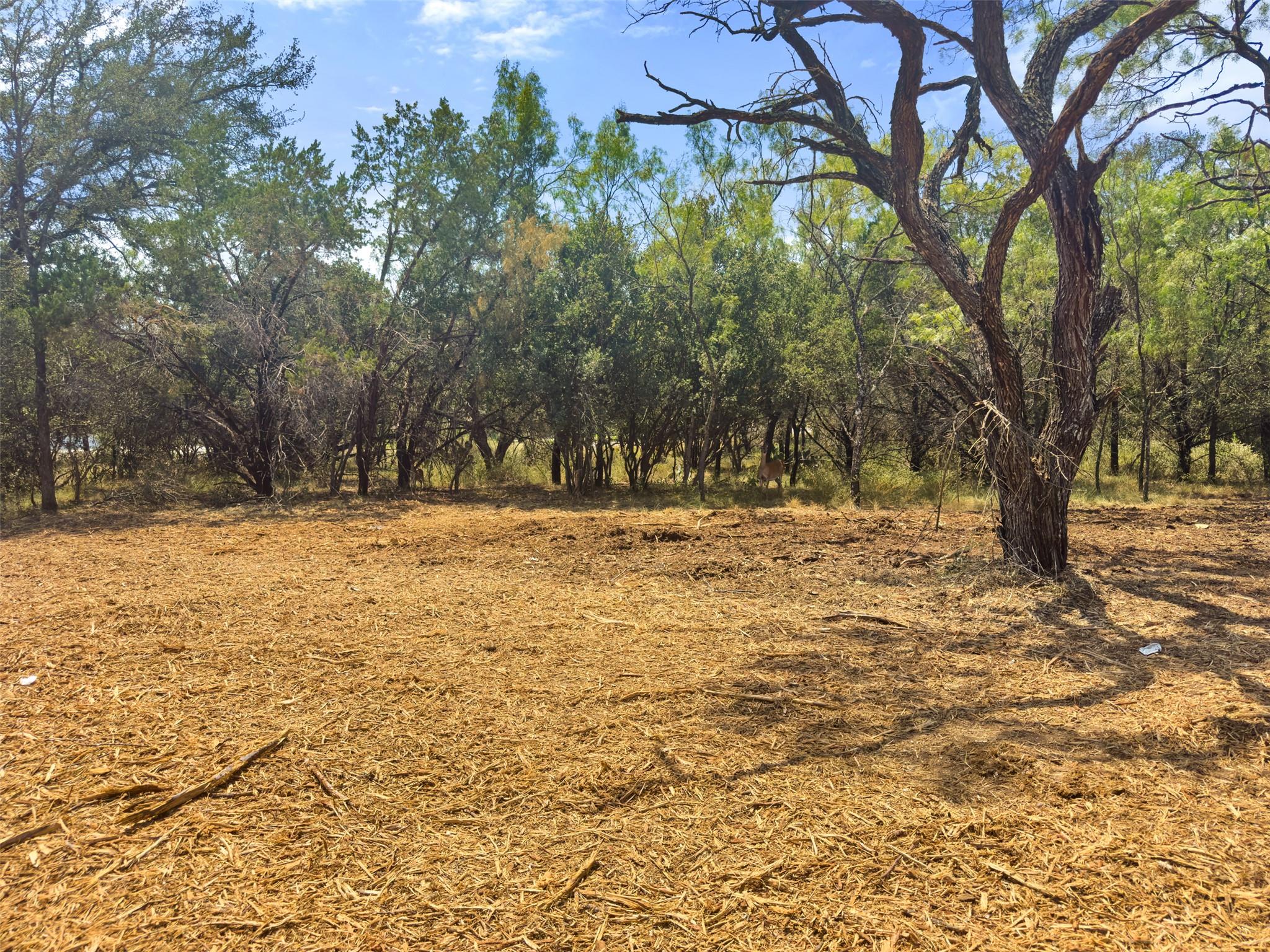 238 Sandy Mountain Dr, Sunrise Beach, TX 78639