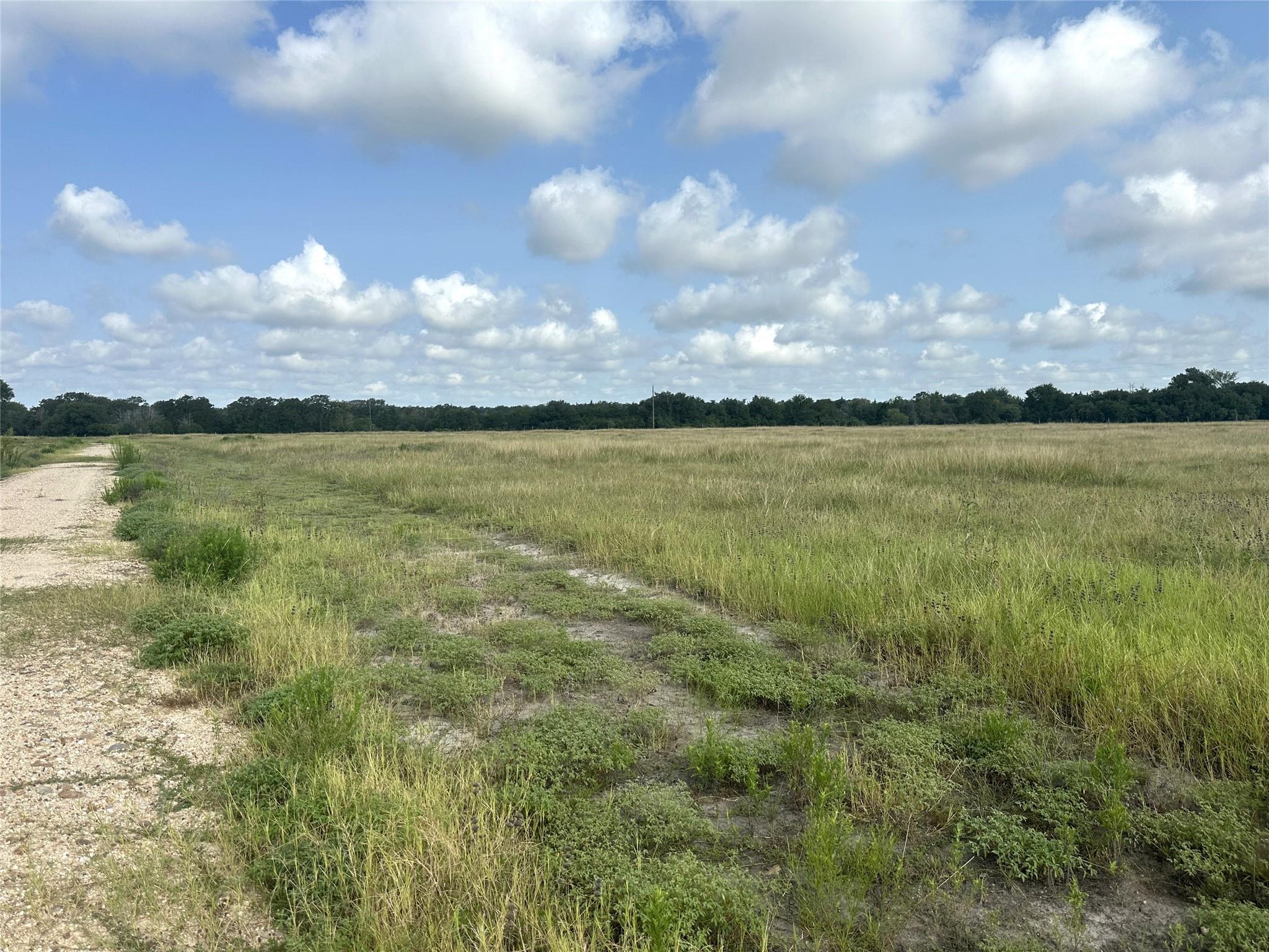 8345 Farm To Market Road 2145, La Grange, TX 78945