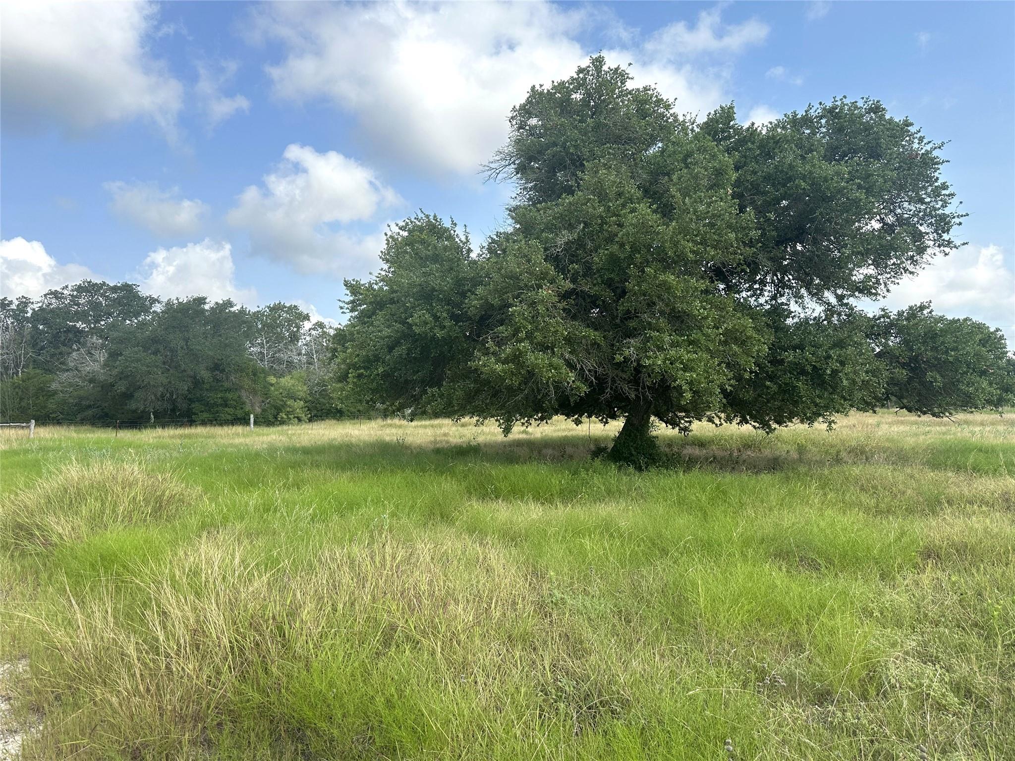 8345 Farm To Market Road 2145, La Grange, TX 78945