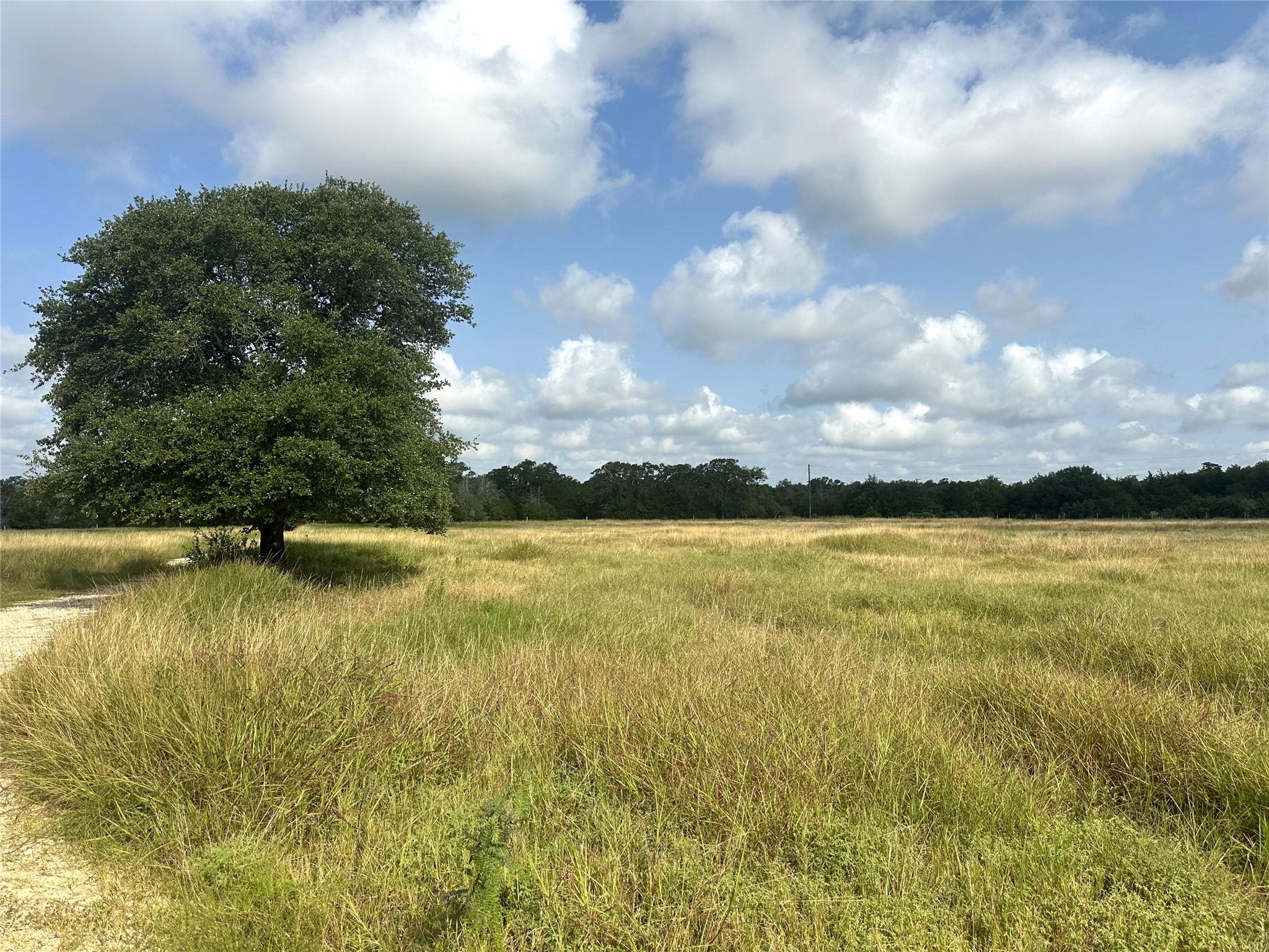 8345 Farm To Market Road 2145, La Grange, TX 78945