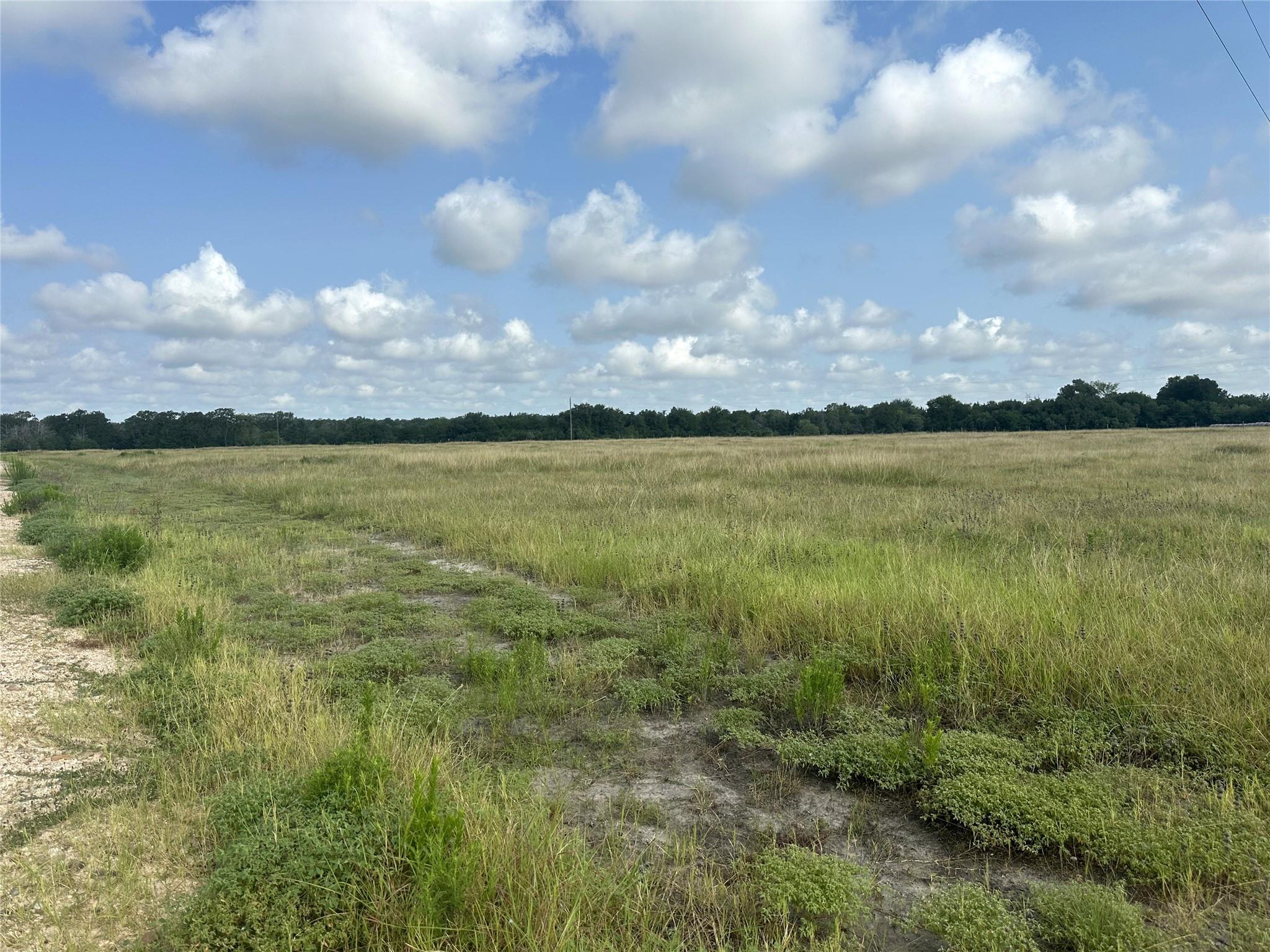 8345 Farm To Market Road 2145, La Grange, TX 78945