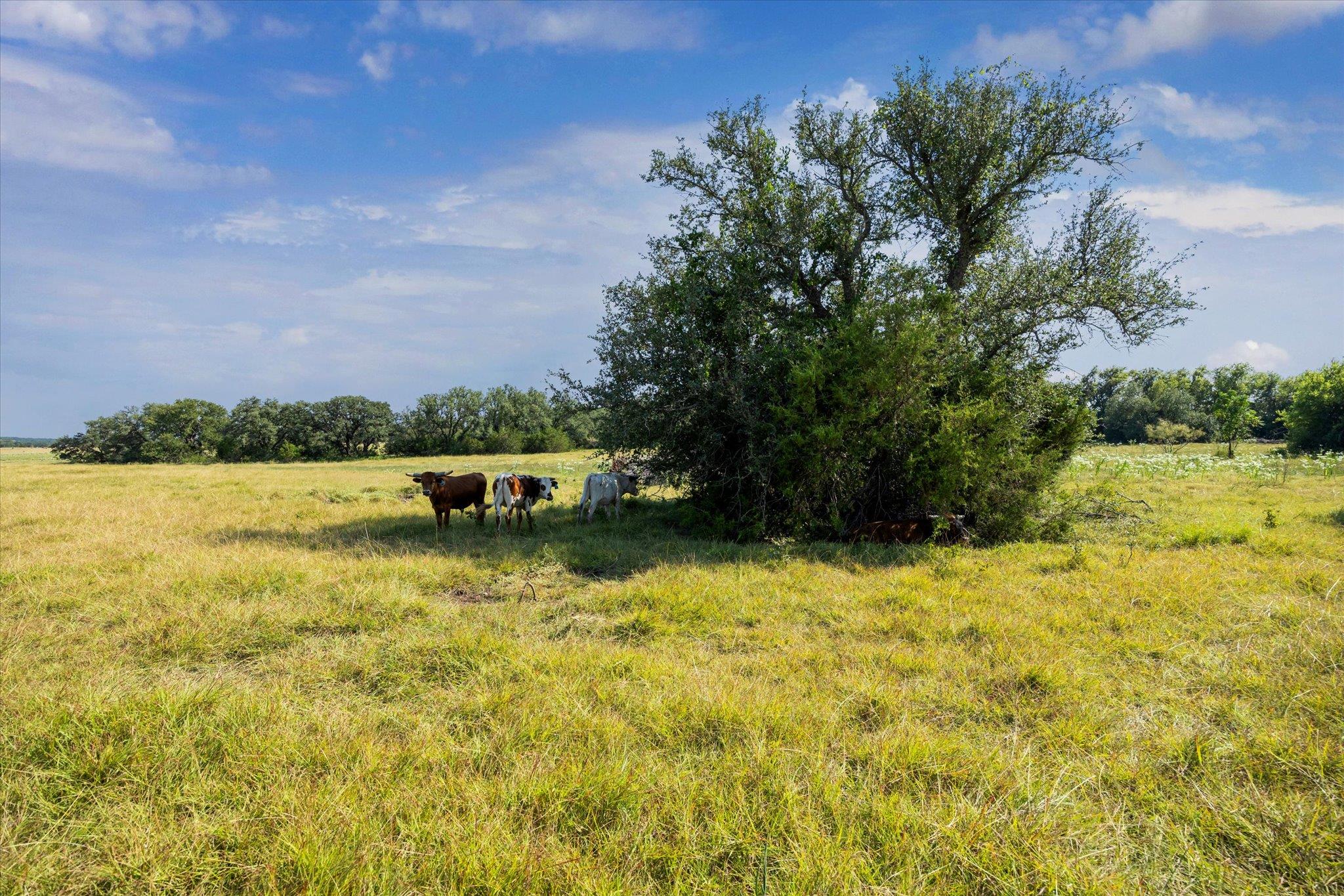 TBD County Road 243, Bertram, TX 78605
