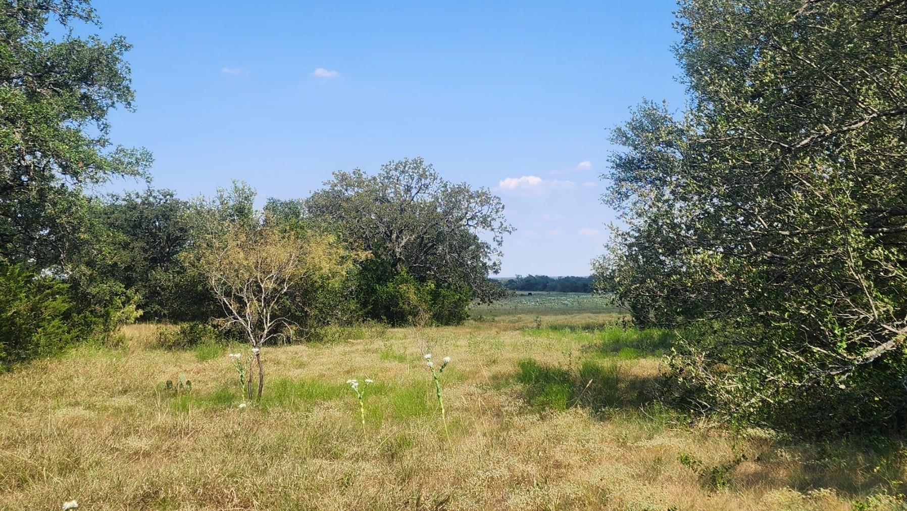 TBD County Road 243, Bertram, TX 78605