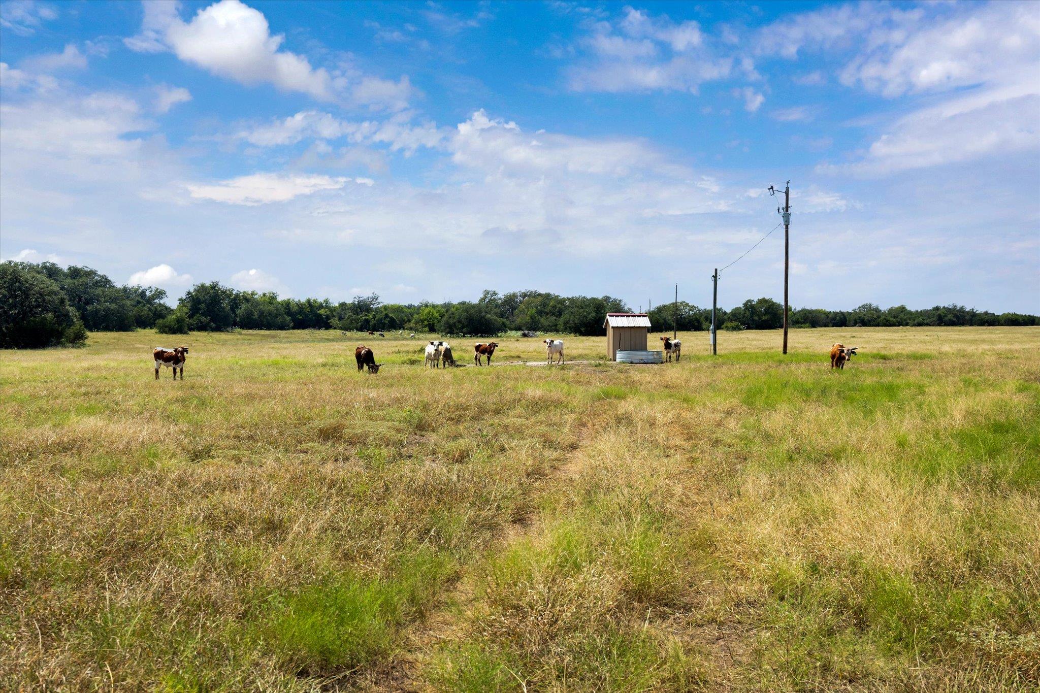 TBD County Road 243, Bertram, TX 78605