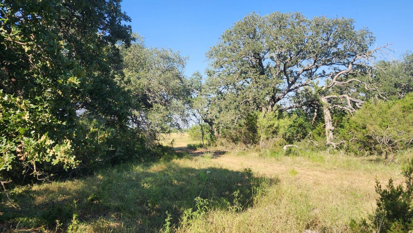 TBD County Road 243, Bertram, TX 78605