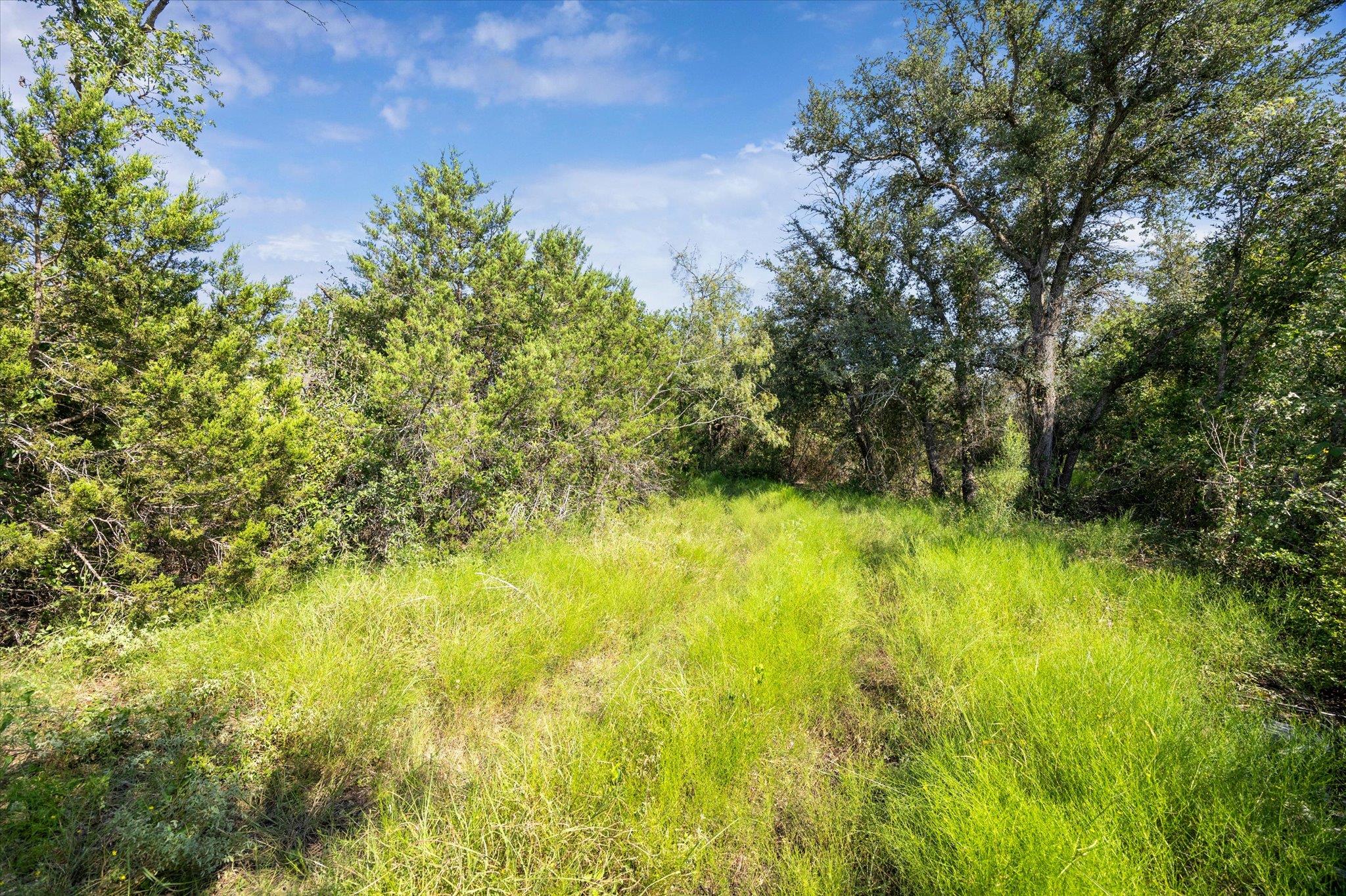 TBD County Road 243, Bertram, TX 78605
