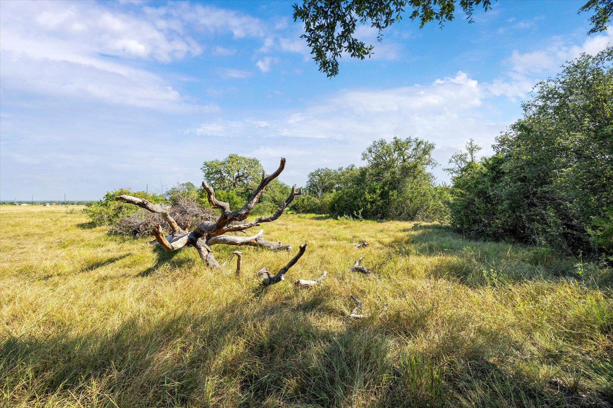 TBD County Road 243, Bertram, TX 78605