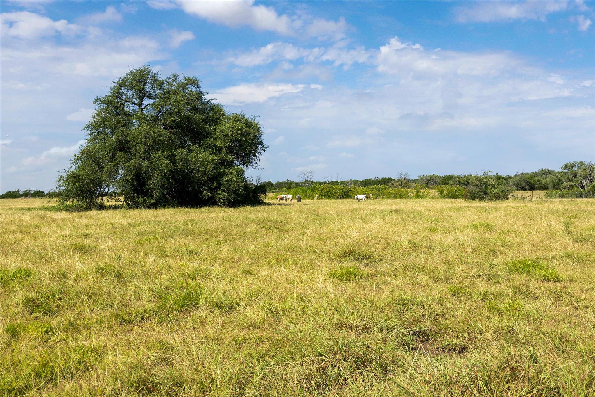 TBD County Road 243, Bertram, TX 78605