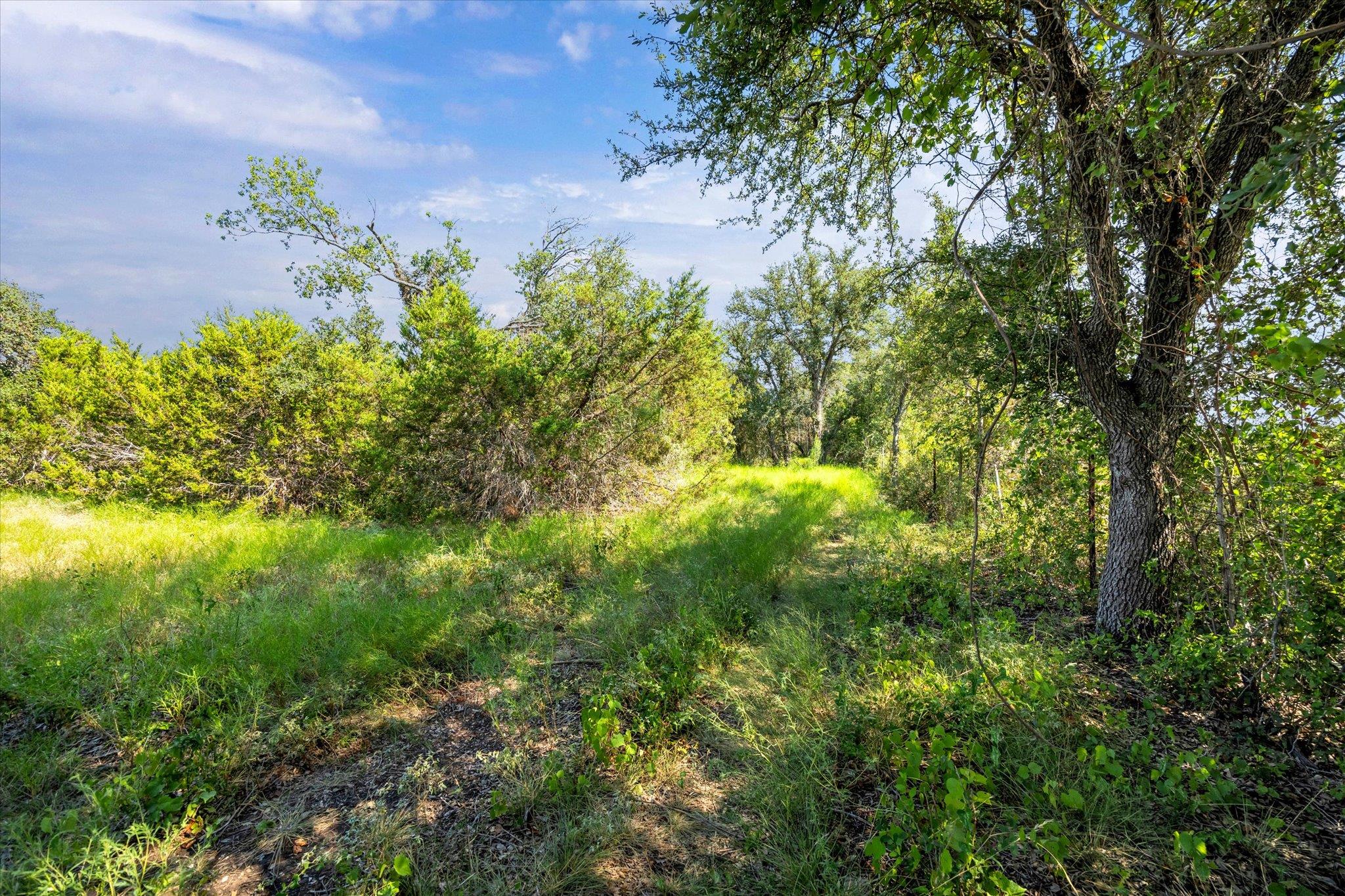 TBD County Road 243, Bertram, TX 78605