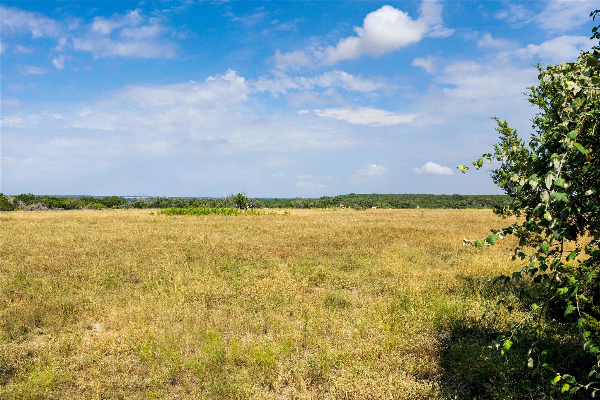 TBD County Road 243, Bertram, TX 78605