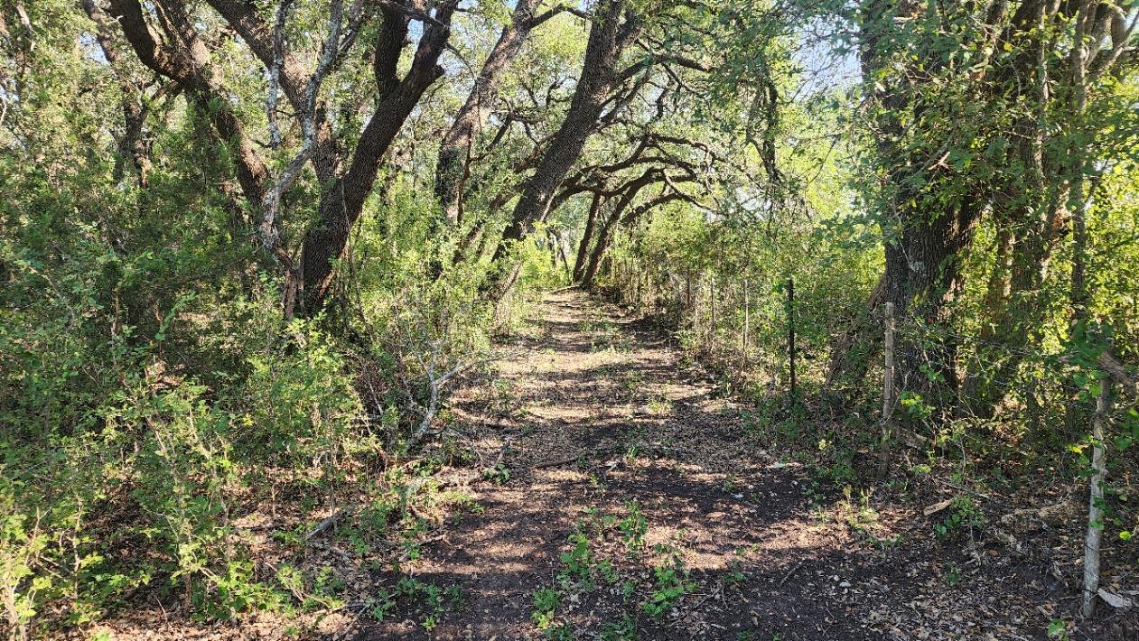 TBD County Road 243, Bertram, TX 78605