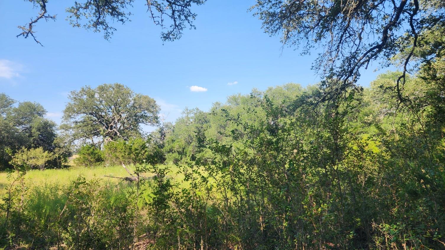 TBD County Road 243, Bertram, TX 78605