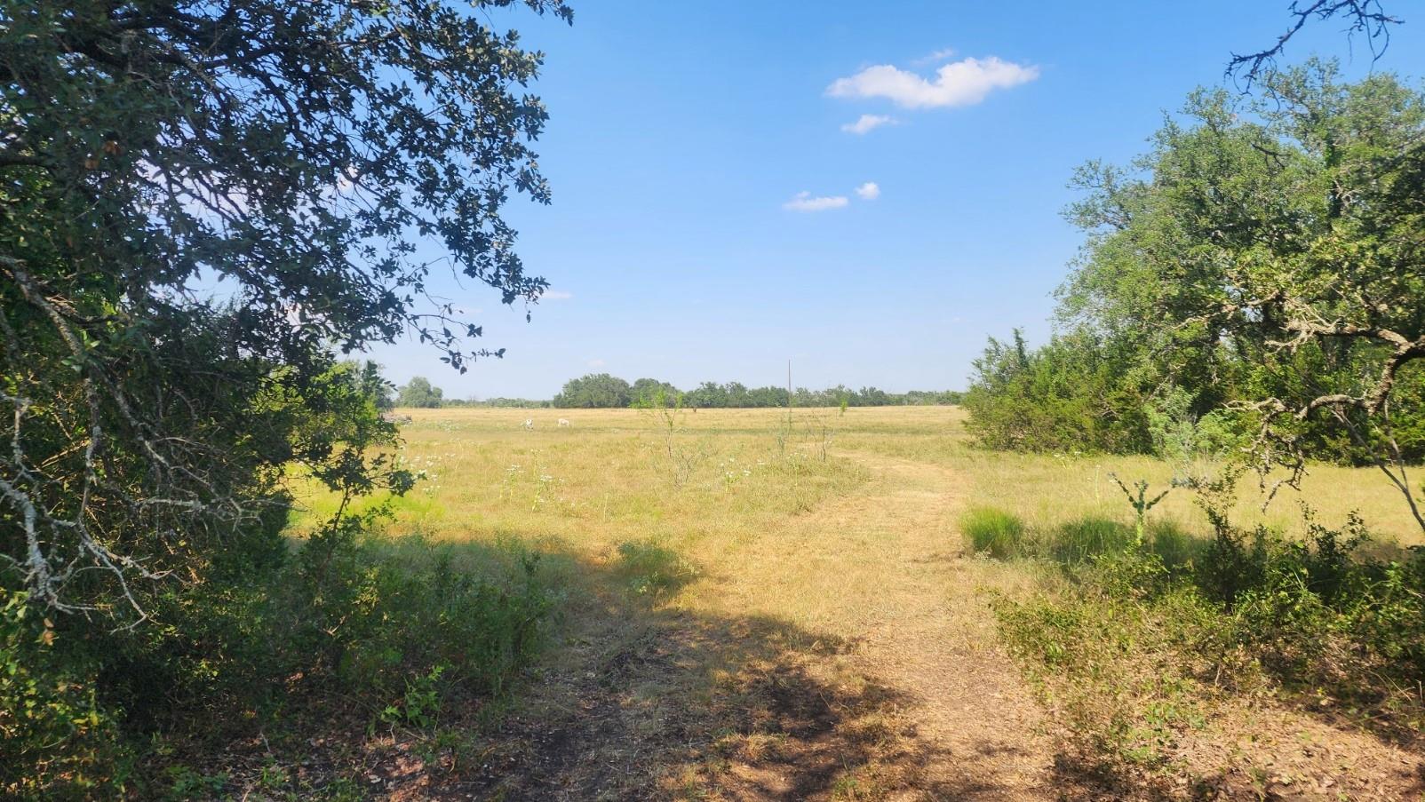 TBD County Road 243, Bertram, TX 78605