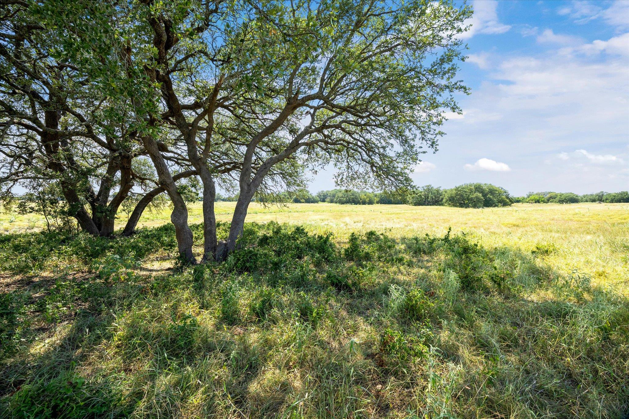 TBD County Road 243, Bertram, TX 78605