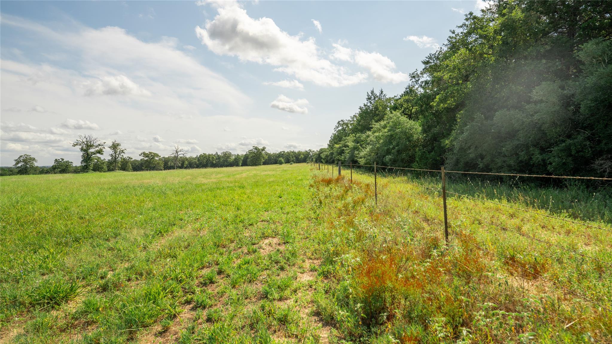 849 County Road 331A, Milano, TX 76556