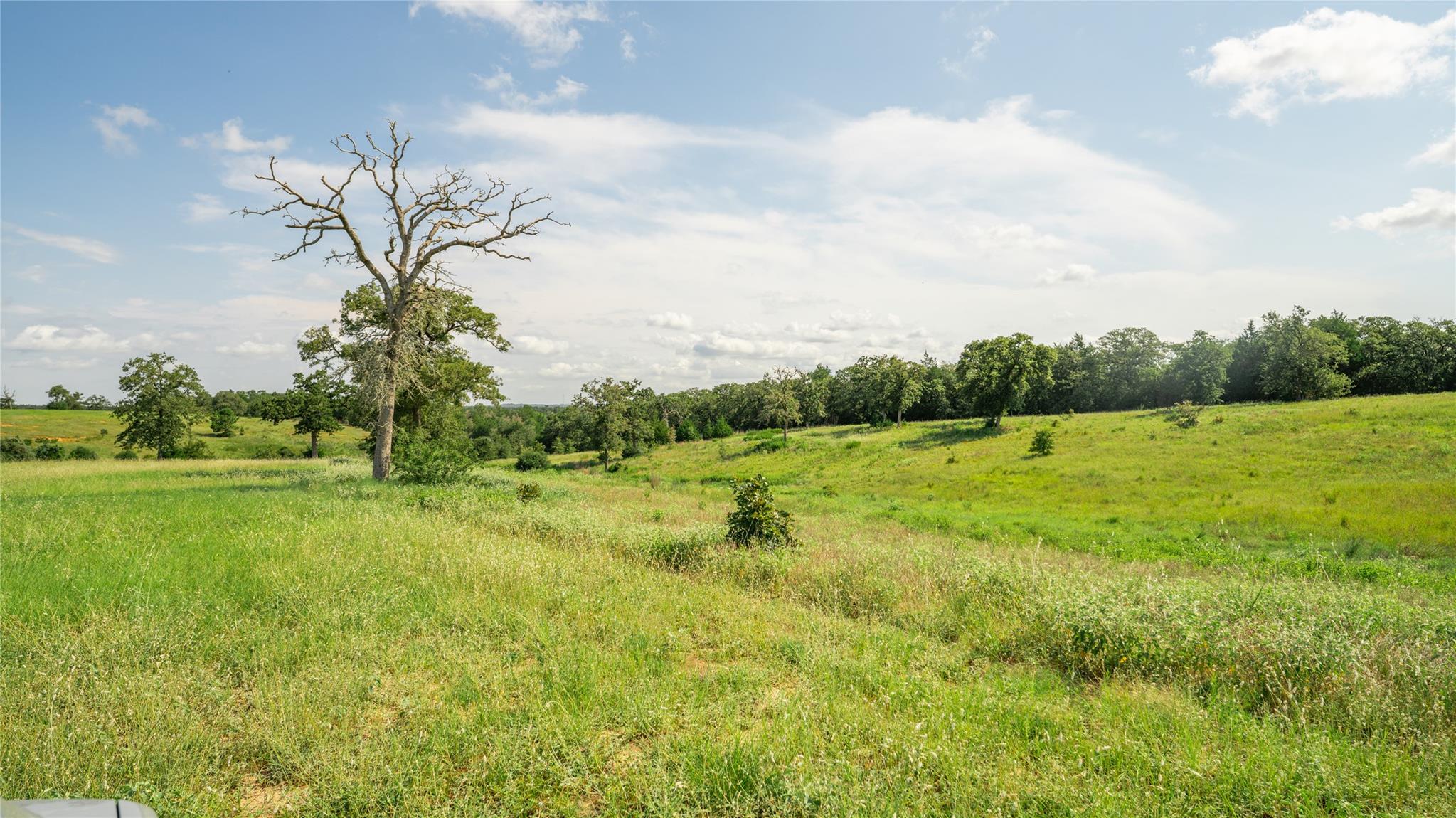 849 County Road 331A, Milano, TX 76556