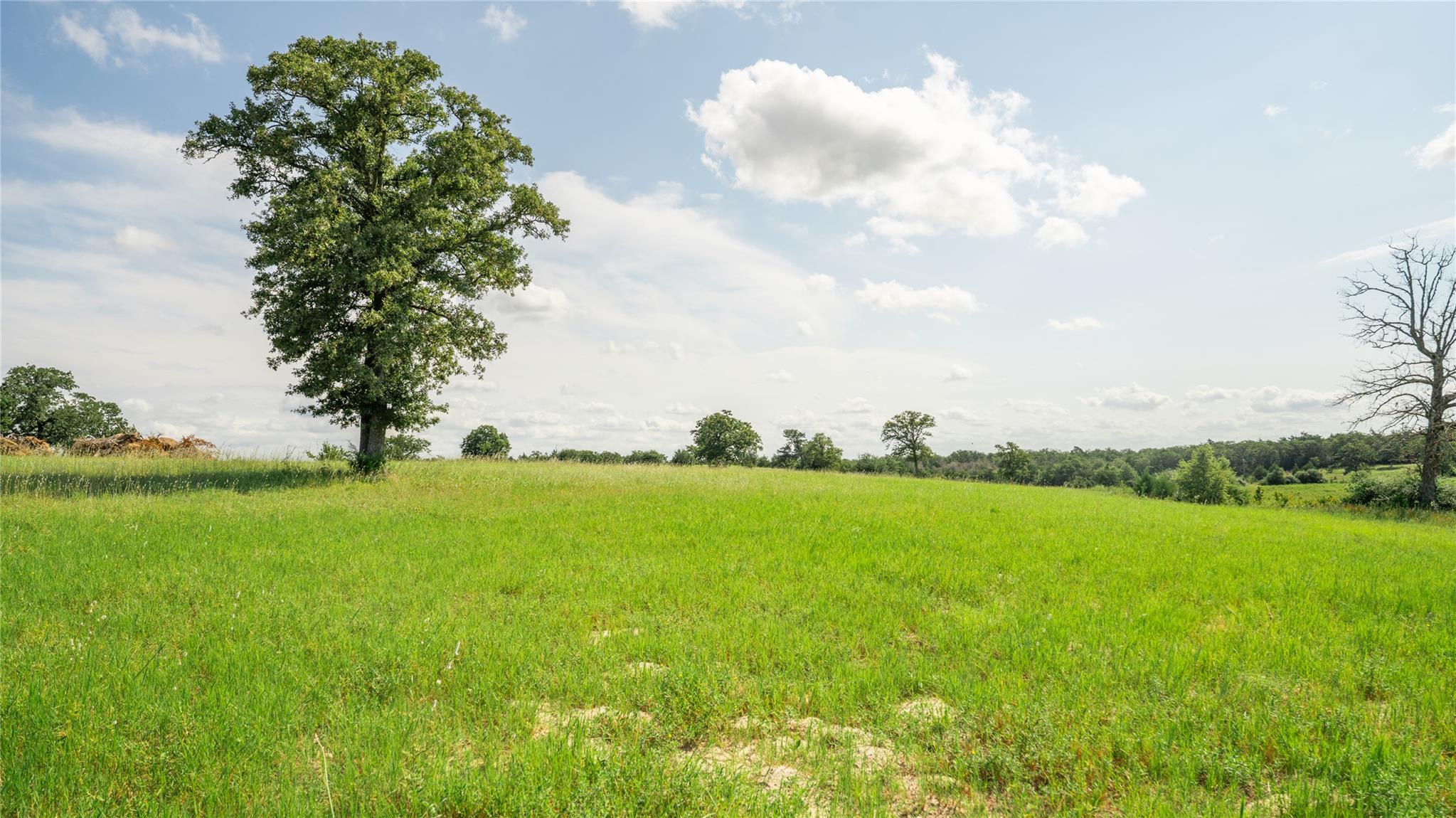 849 County Road 331A, Milano, TX 76556