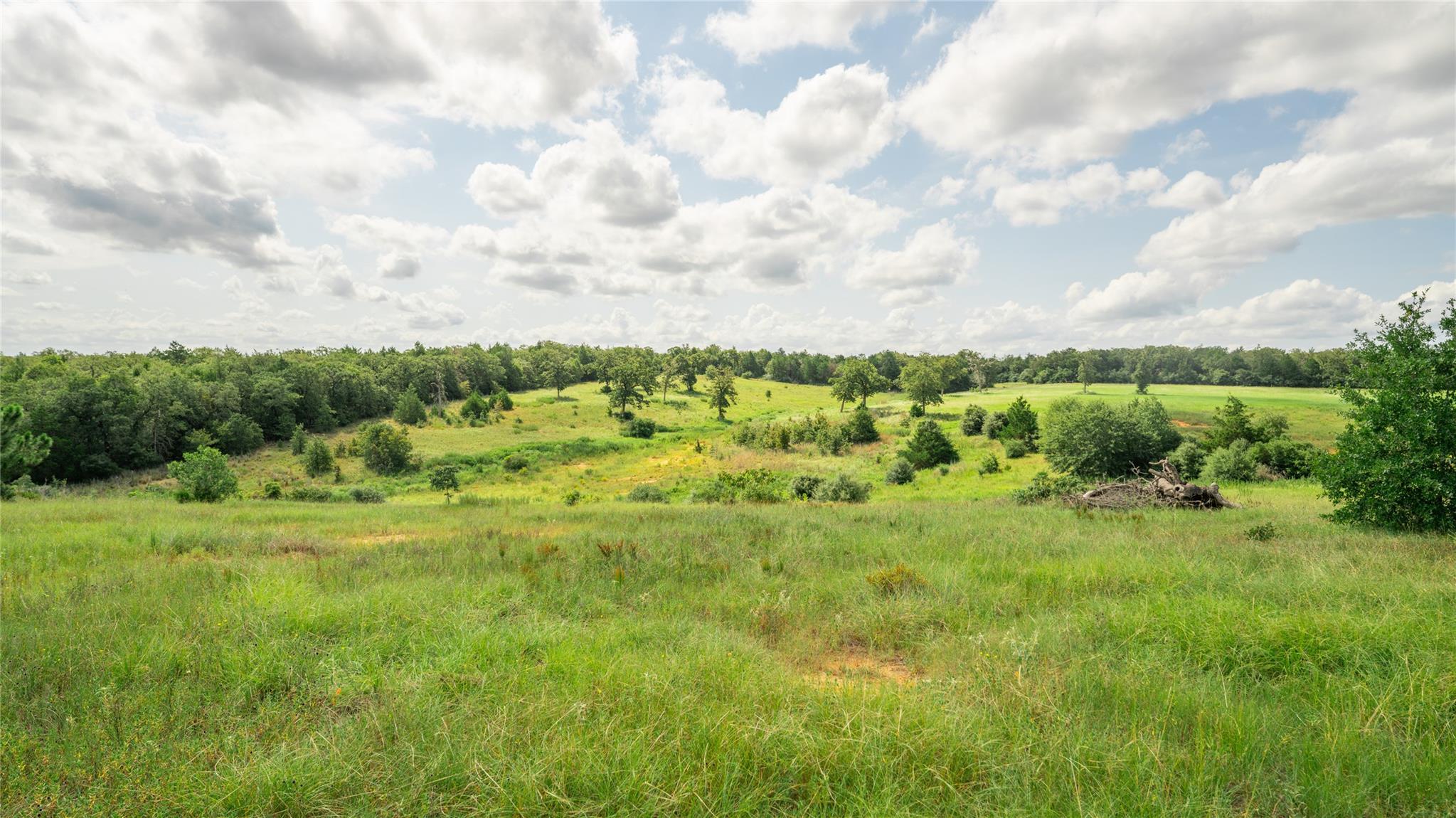 849 County Road 331A, Milano, TX 76556