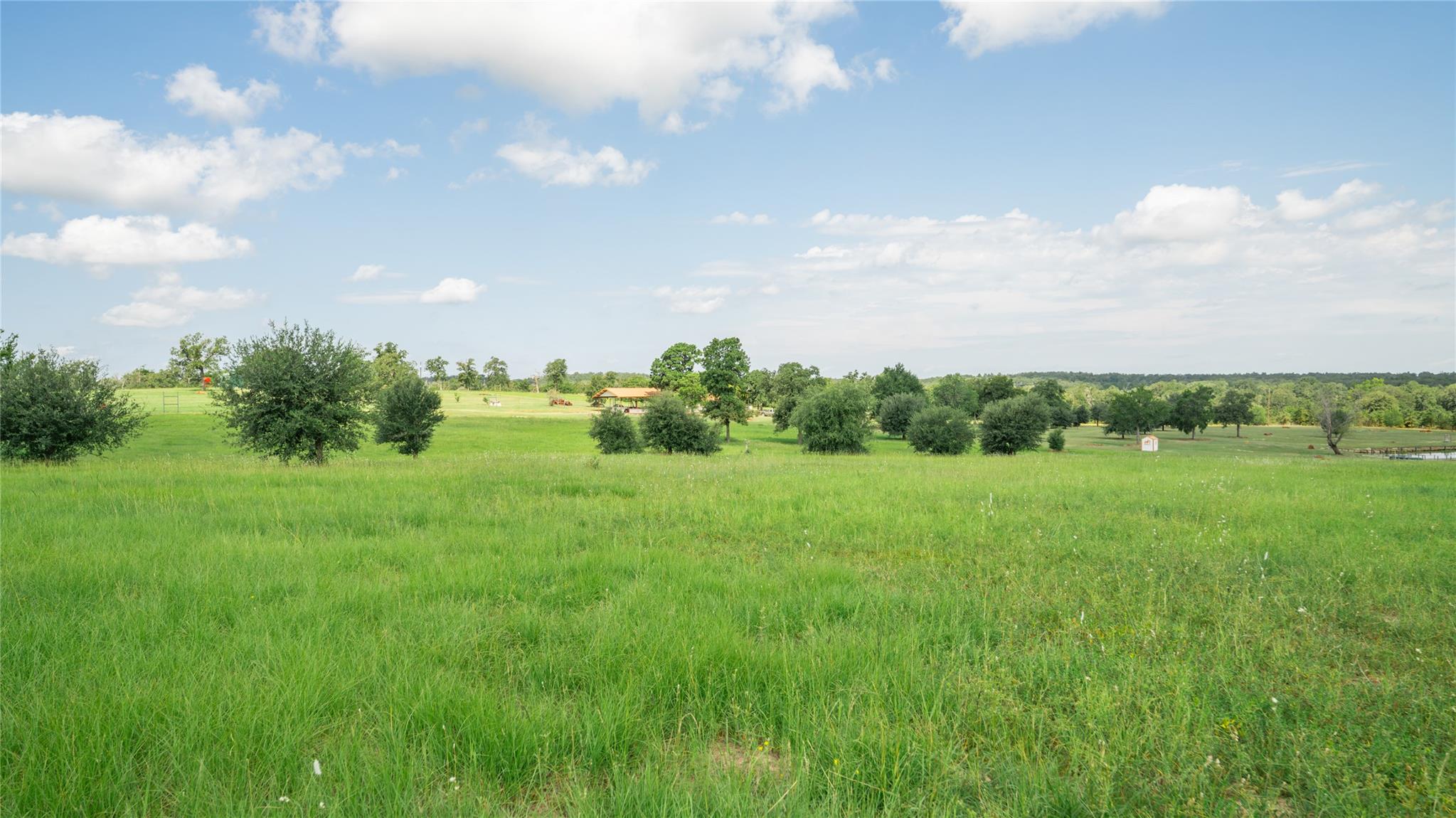 849 County Road 331A, Milano, TX 76556