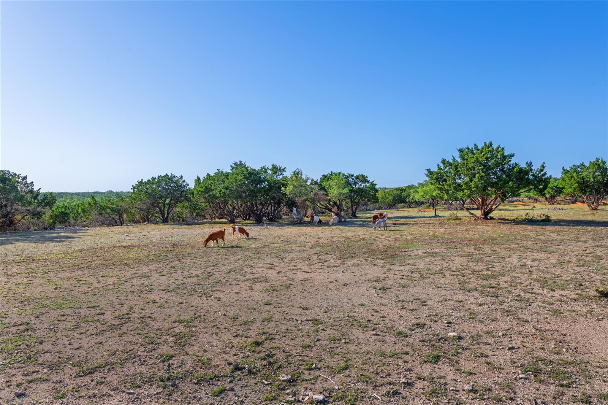 TBD South Oak Forest Dr, Dripping Springs, TX 78620