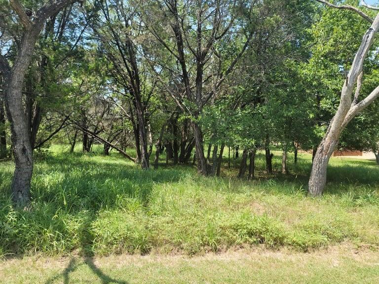 35059 Oak Forest Dr, Whitney, TX 76692
