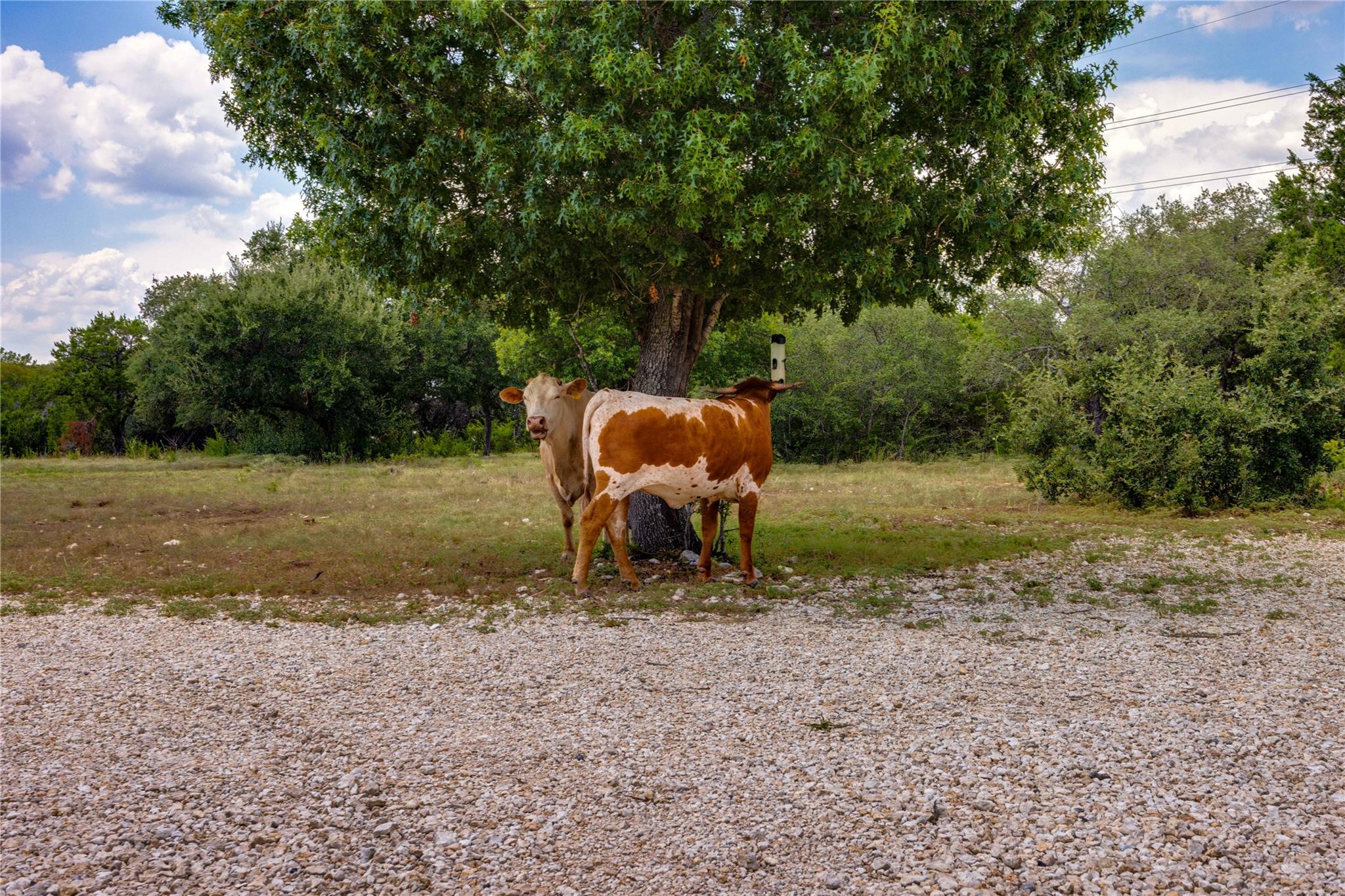 3074 County Road 207, Liberty Hill, TX 78642